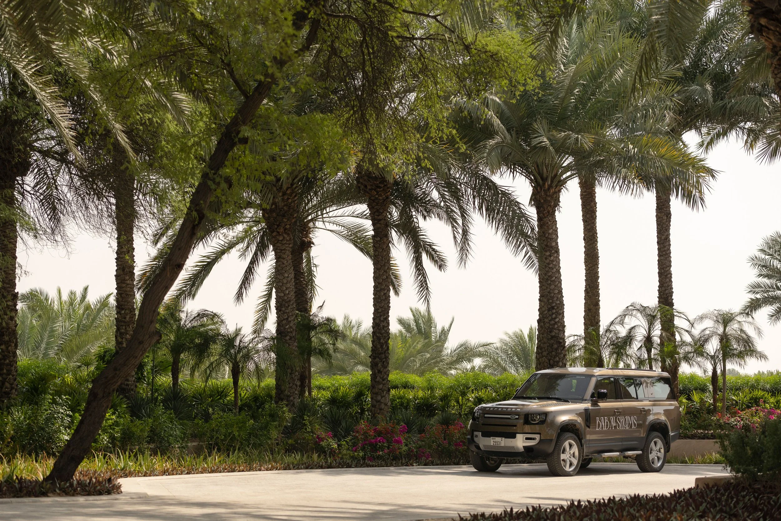 A silver Land Rover Discovery parked on the side of a road lined with palm trees and lush green plants, with clear sky in the background.