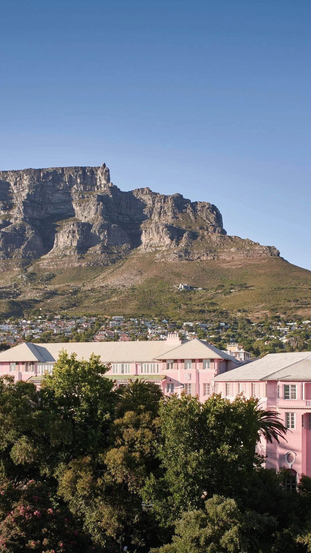 View of a mountain with residential buildings and trees in the foreground.