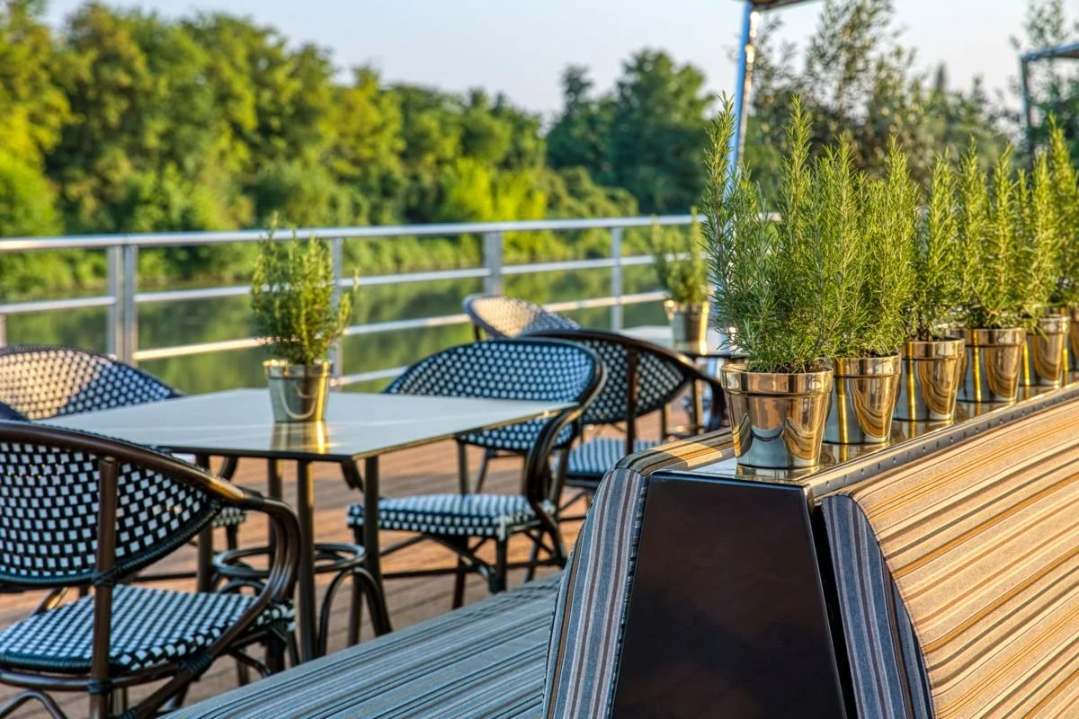 Outdoor patio with a table and four chairs, a potted plant on the table, a row of potted plants on a striped lounge chair, and a view of green trees in the background.