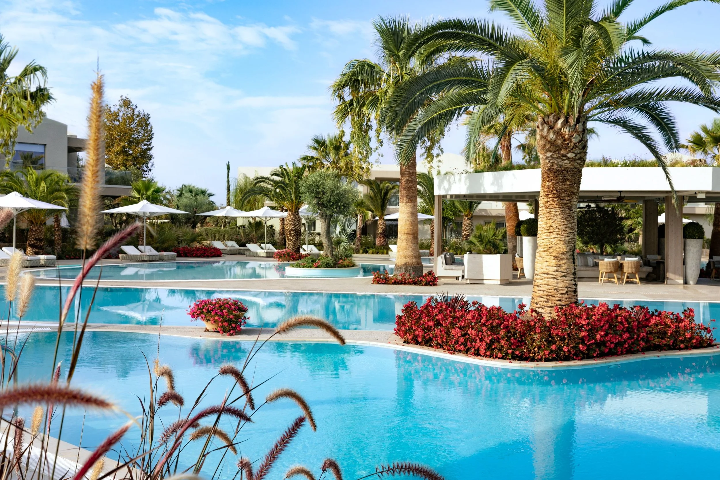 A luxurious resort pool area with tall palm trees, white umbrellas, lounge chairs, and colorful flowers, under a partly cloudy blue sky.
