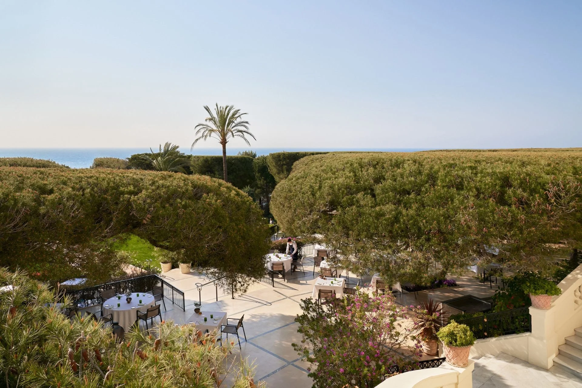 Outdoor patio with dining tables, surrounded by lush greenery and palm trees, overlooking the ocean under a clear blue sky.