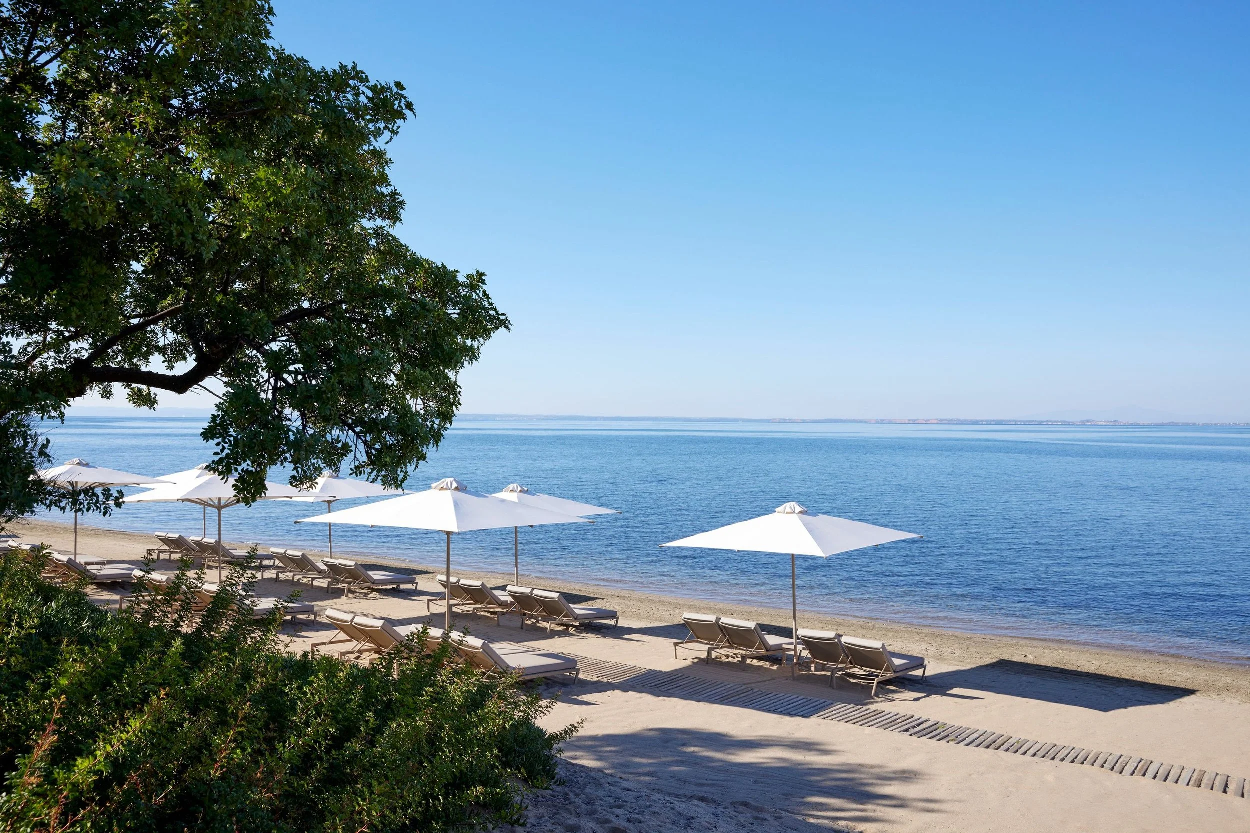 Beach scene with white umbrellas, lounge chairs, and calm water under a clear blue sky, with green foliage in the foreground.