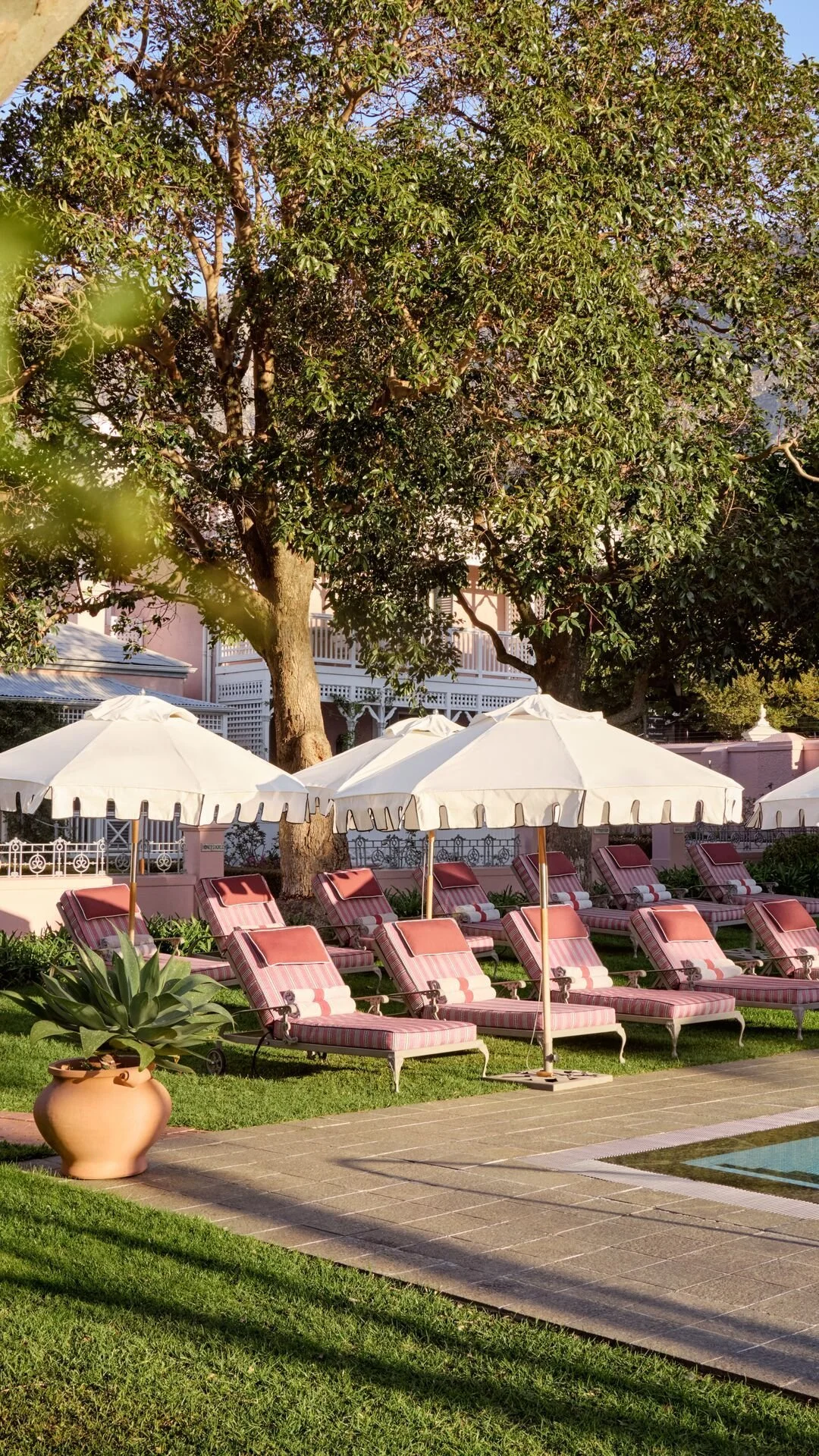 Several pink and white striped lounge chairs with rolled towels on each, placed on a grassy area near a pool, under white umbrellas, with a large tree in the background and a pink building.