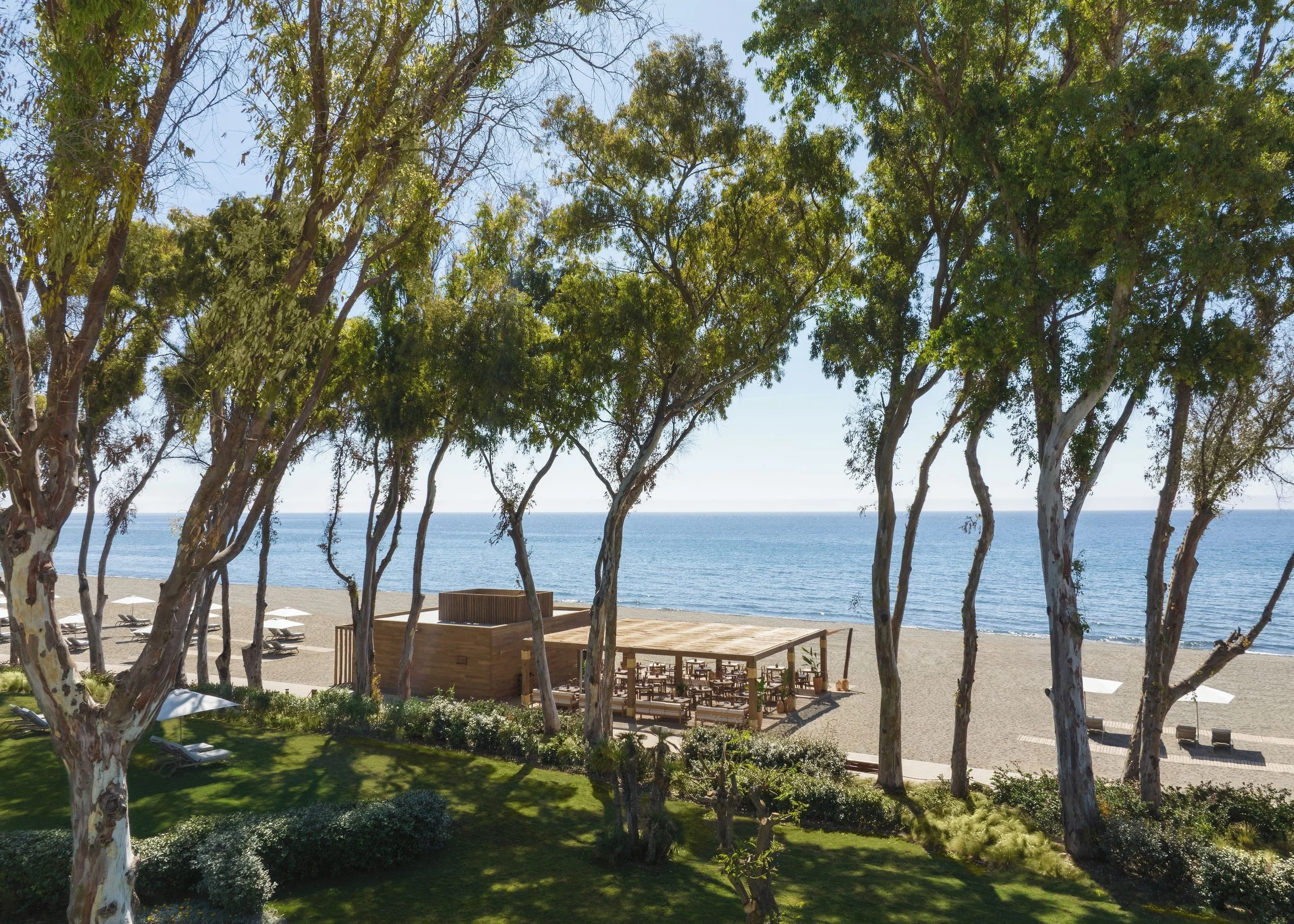 A beach scene viewed through tall trees with green leaves. There are tables and chairs set up underneath a wooden structure near the shoreline, and lounge chairs are on the sandy beach. The ocean is visible in the background under a clear blue sky.