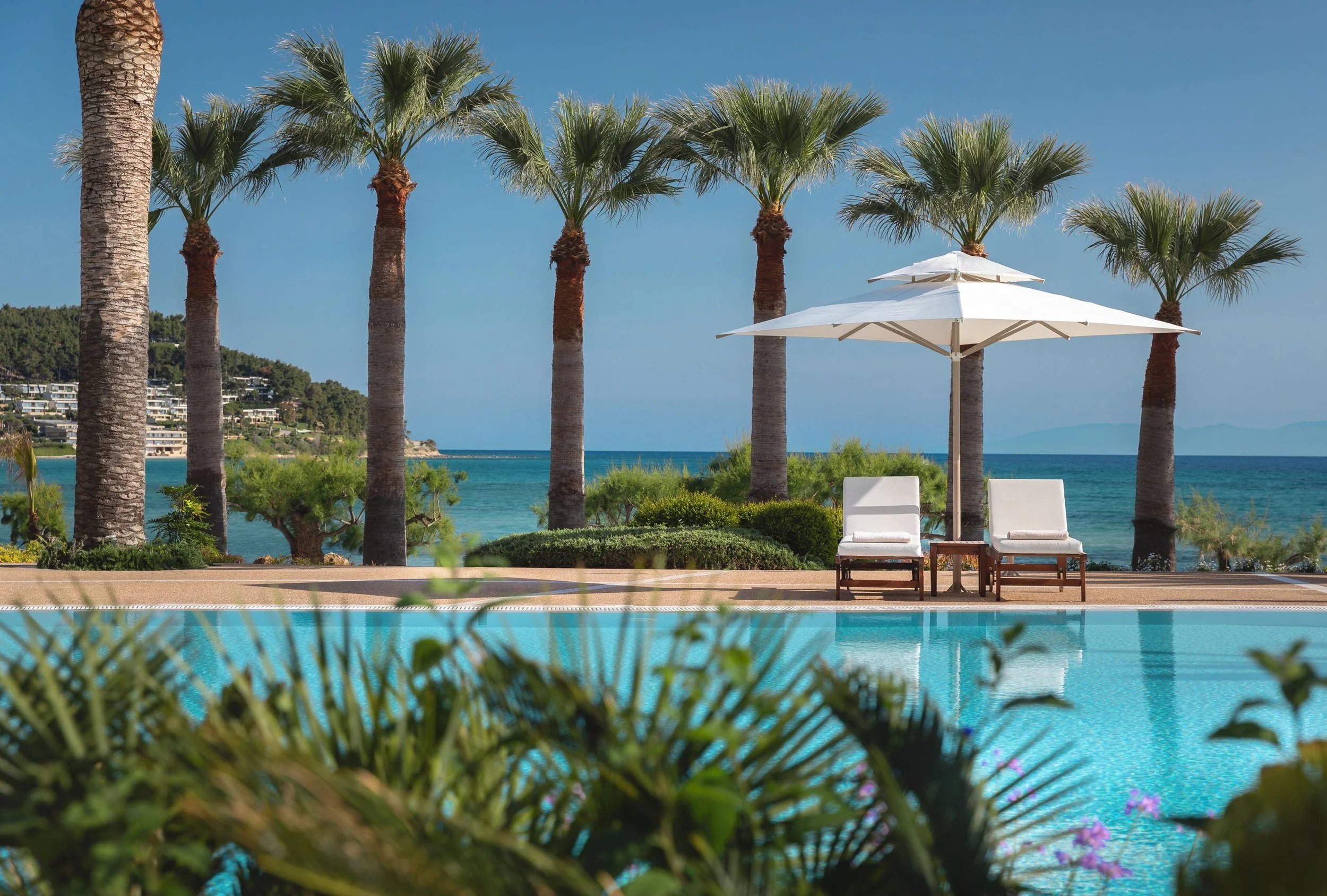 Poolside scene with white lounge chairs under a white umbrella, tall palm trees, green bushes, a distant hillside with buildings, and the ocean in the background on a sunny day.