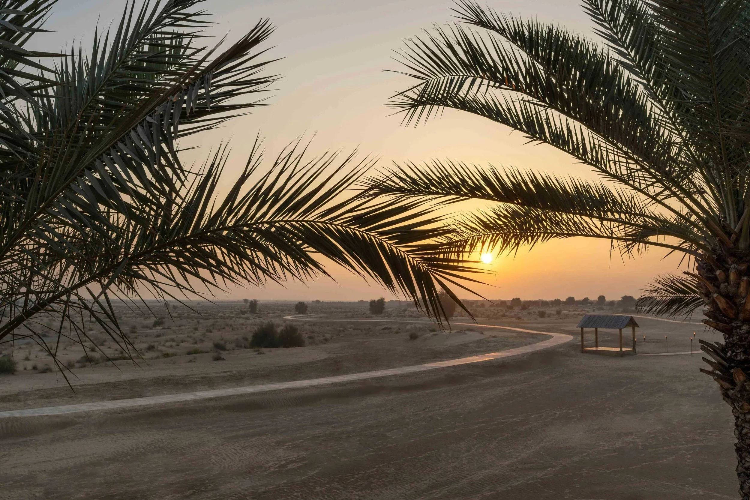 Sunset over a desert landscape with tall palm trees in the foreground and a small structure with a roof in the distance.