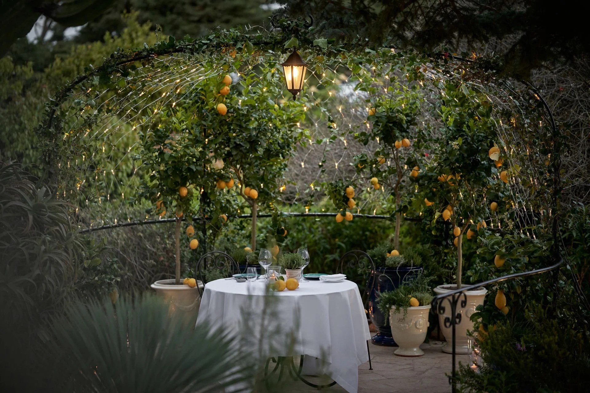An outdoor dining table set with glasses, plates, and a small potted plant, under a decorated archway with yellow lemons, greenery, string lights, and a hanging lantern in a lush garden.