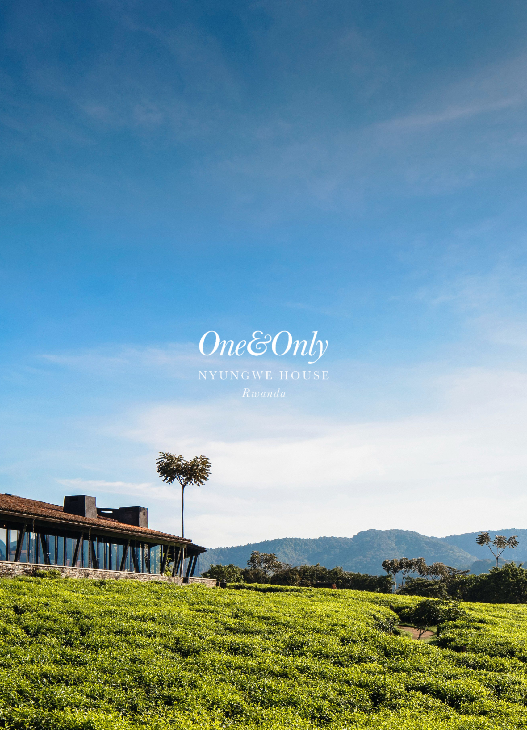 Green tea fields with trees, a modern building with glass windows, mountains in the background, and a clear blue sky with some clouds.