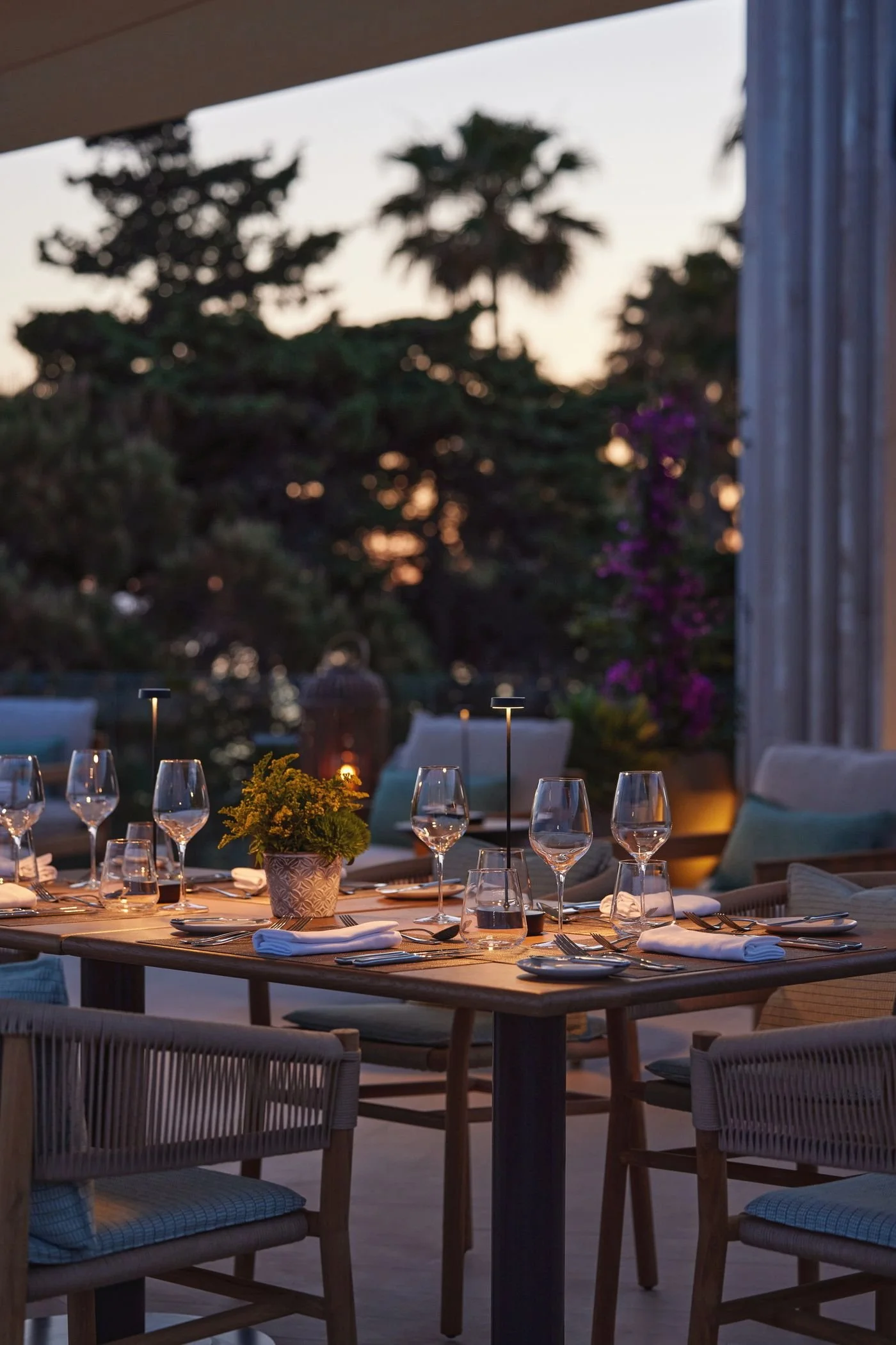 Outdoor dining table set for dinner with wine glasses, plates, napkins, and a potted plant, during sunset with trees in the background.