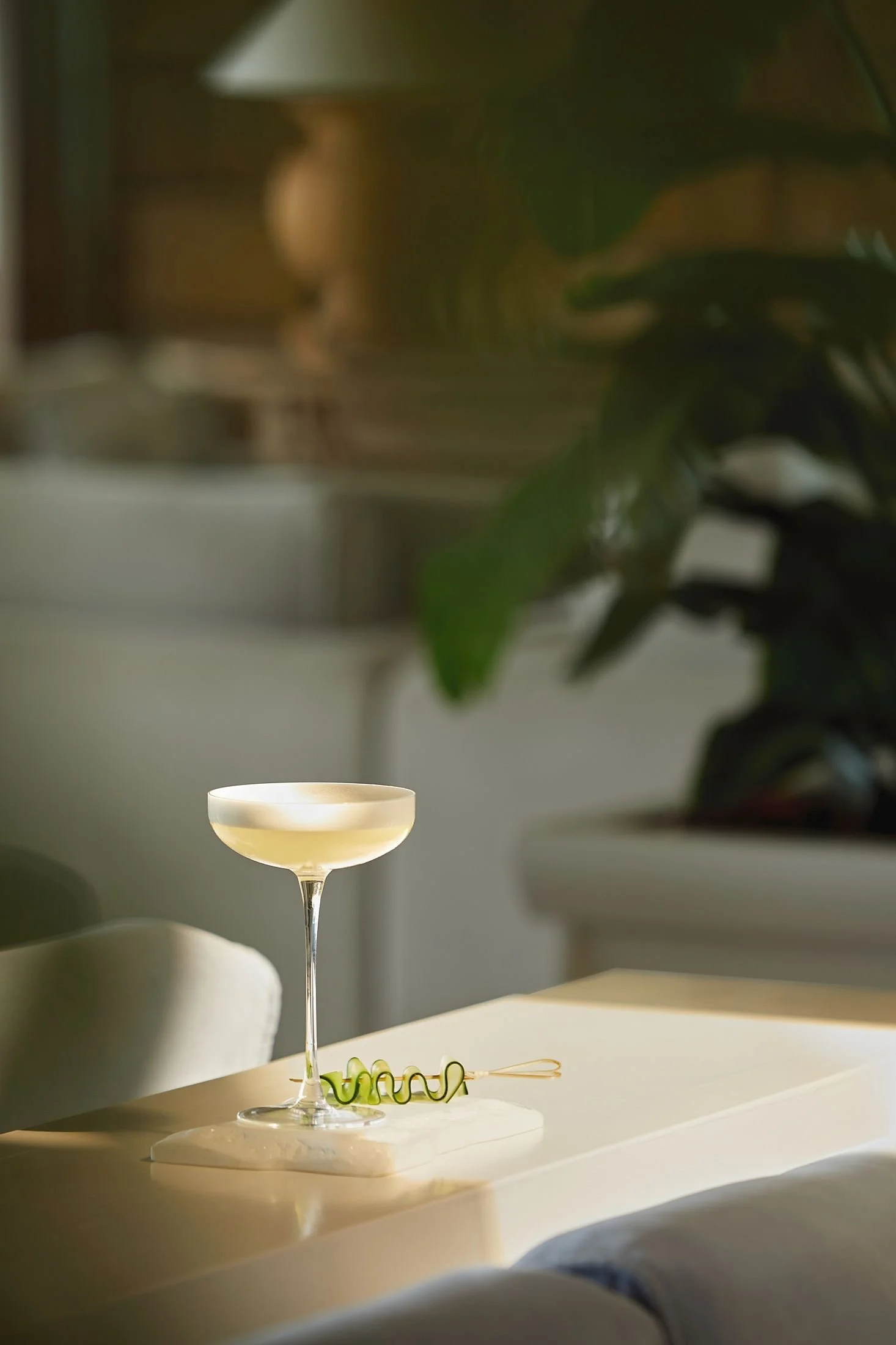 A champagne coupe glass filled with a light-colored beverage, placed on a white table. In the background, a blurred green plant and a lamp are visible, creating a cozy indoor setting.
