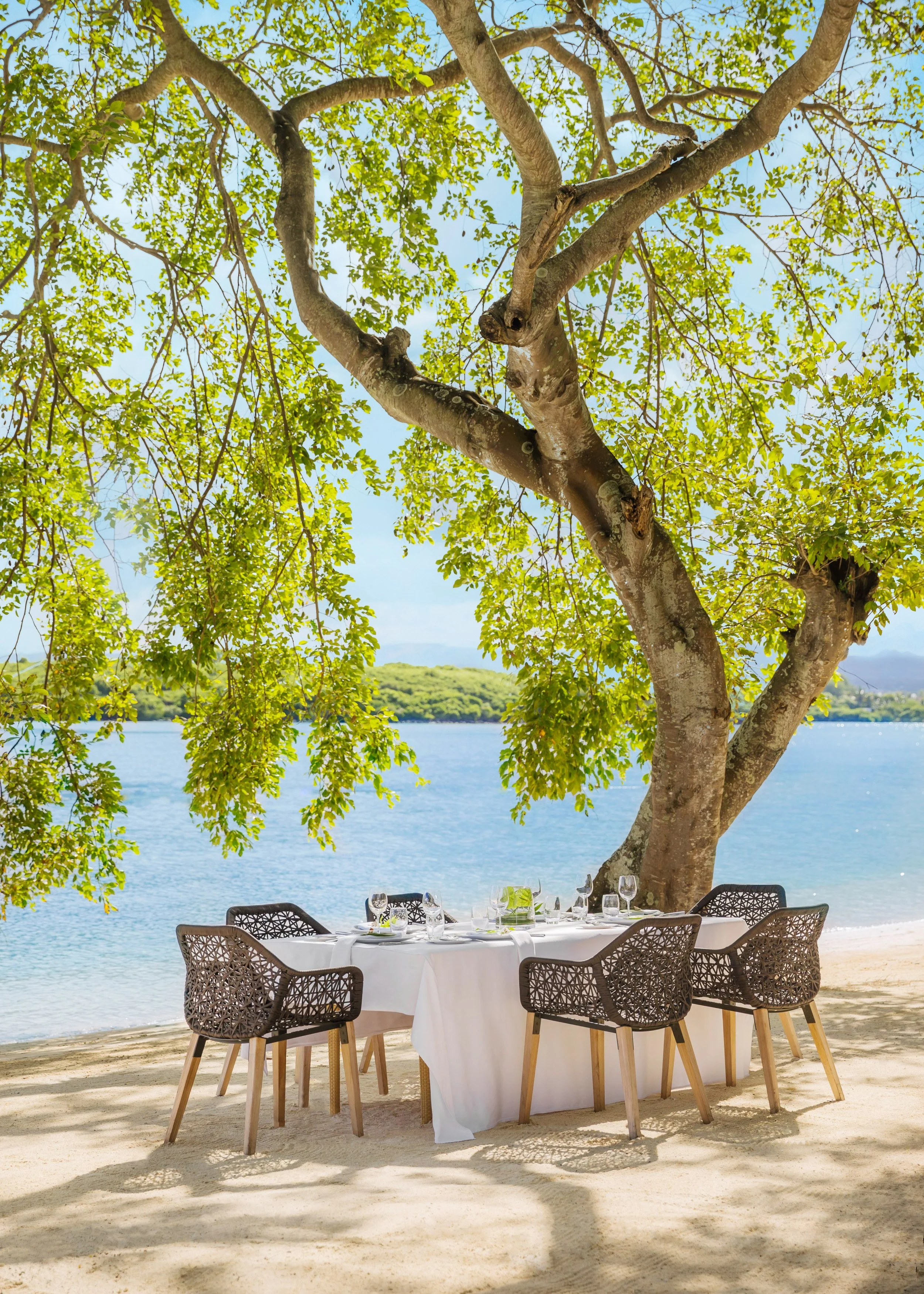 A white dining table set with glassware and plates, surrounded by black patterned chairs, under a large leafy tree on a sandy beach by a body of water, with a forested shoreline in the background.