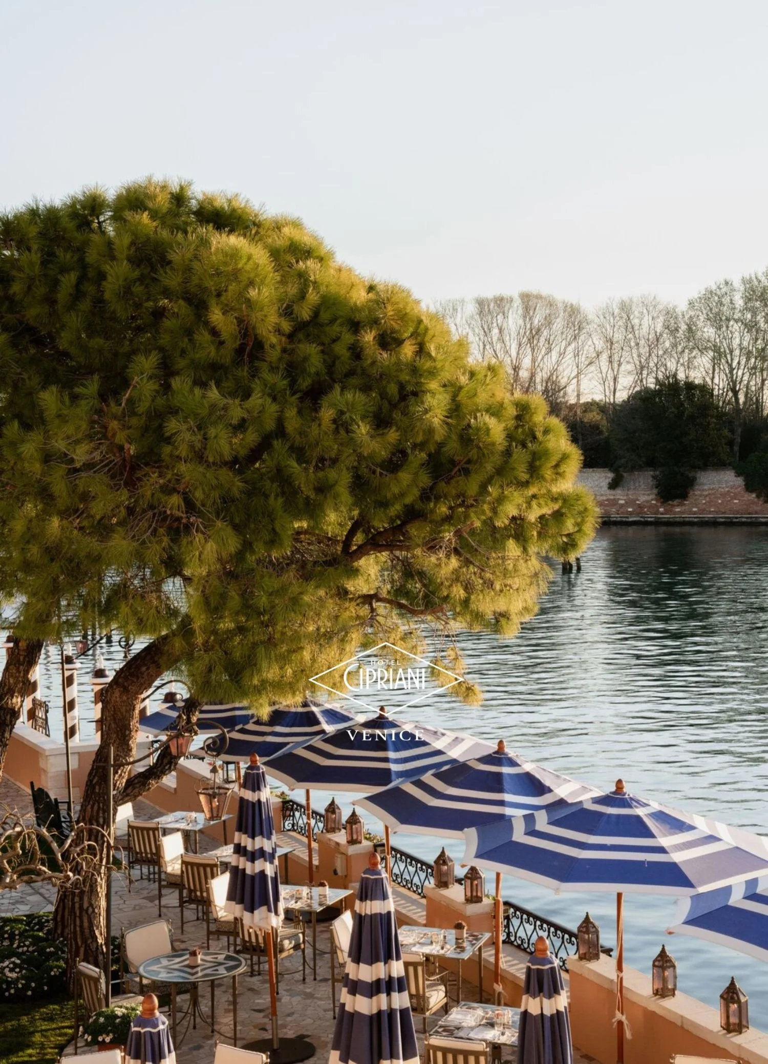 Outdoor dining area with blue and white striped umbrellas overlooking a body of water in Venice, Italy, with a large leafy tree and a row of leafless trees in the background.