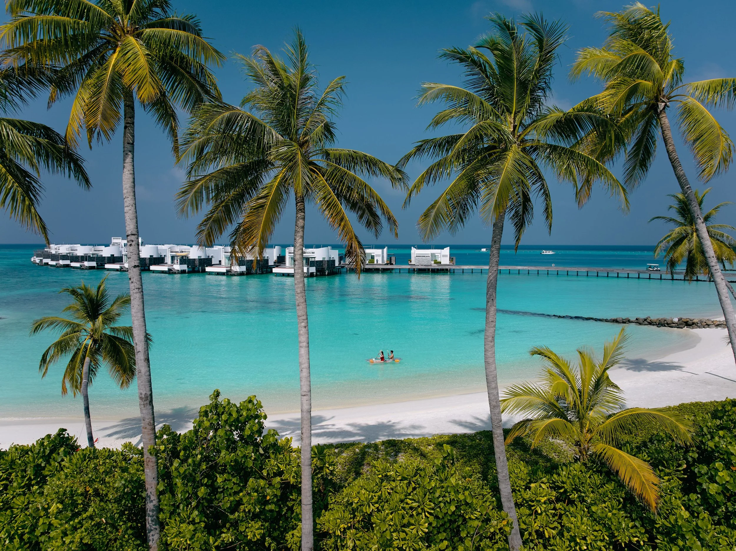 Tropical beach scene with tall palm trees, white sandy shoreline, turquoise water, overwater bavilions, a boat on the water, and a couple in a kayak.