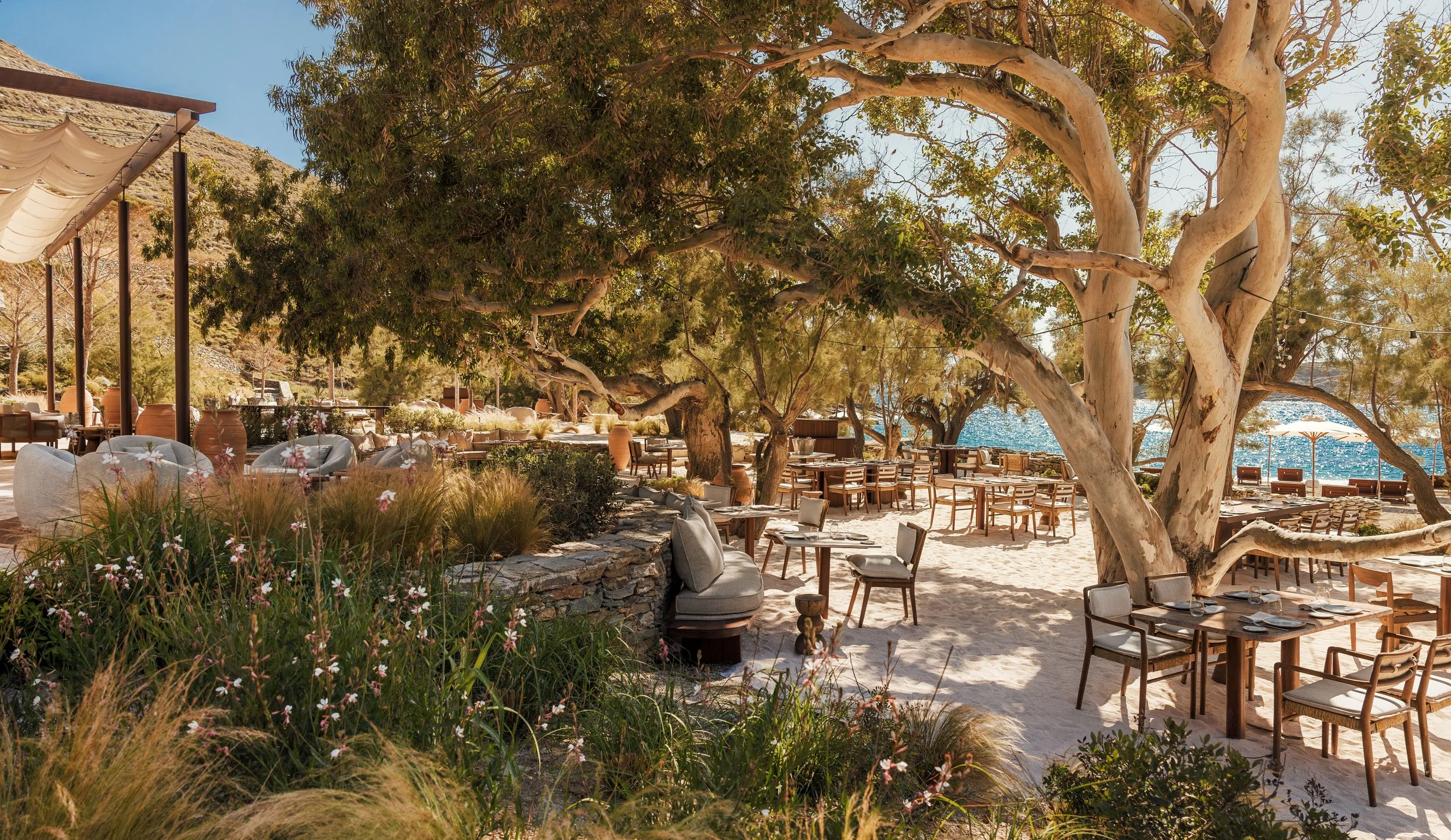 Outdoor beachside restaurant with wooden tables and chairs, large trees providing shade, sandy ground, and a view of the water in the background, under a clear blue sky.
