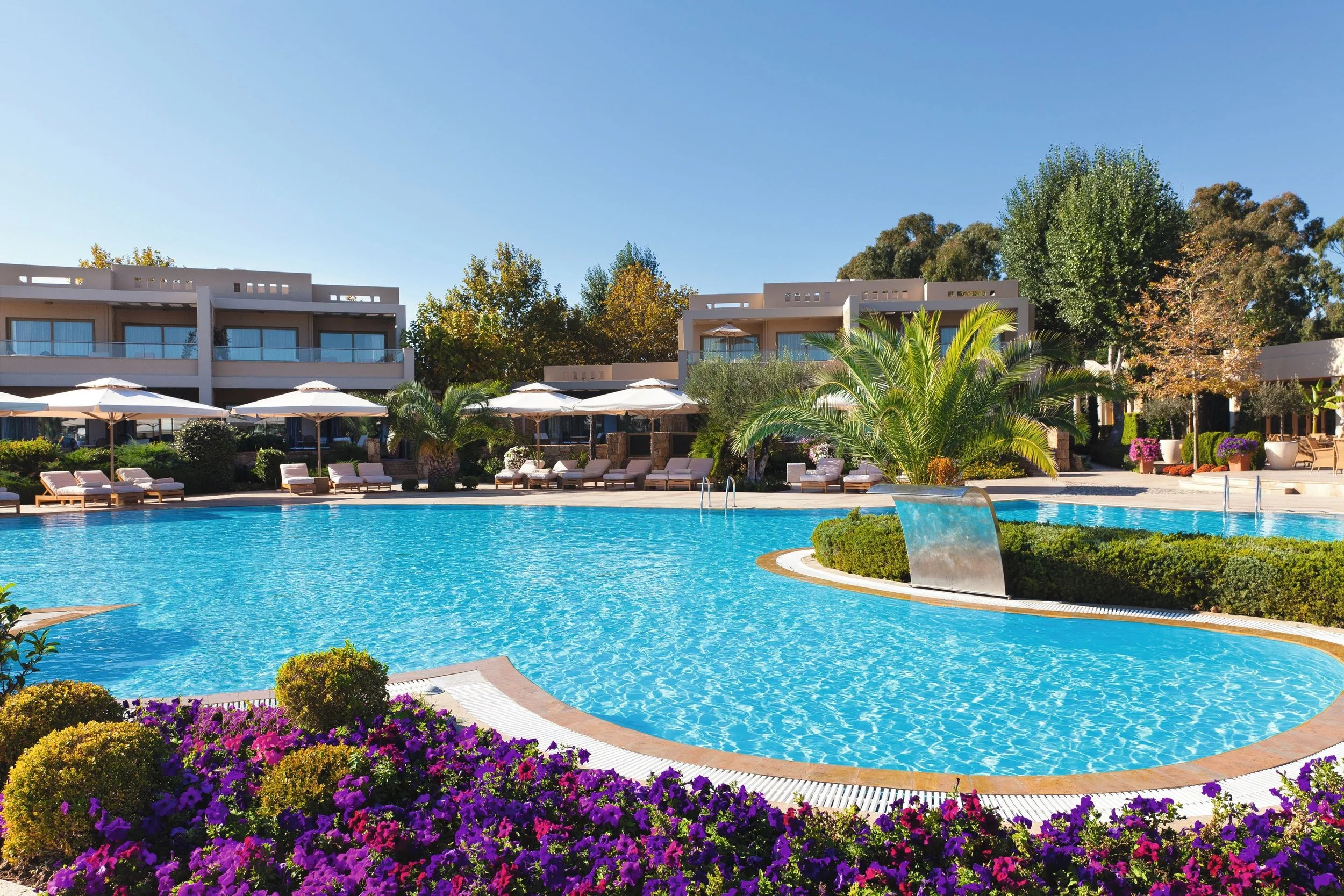 A swimming pool surrounded by lounge chairs, umbrellas, and colorful flowers, with modern white buildings and trees in the background under a clear blue sky.