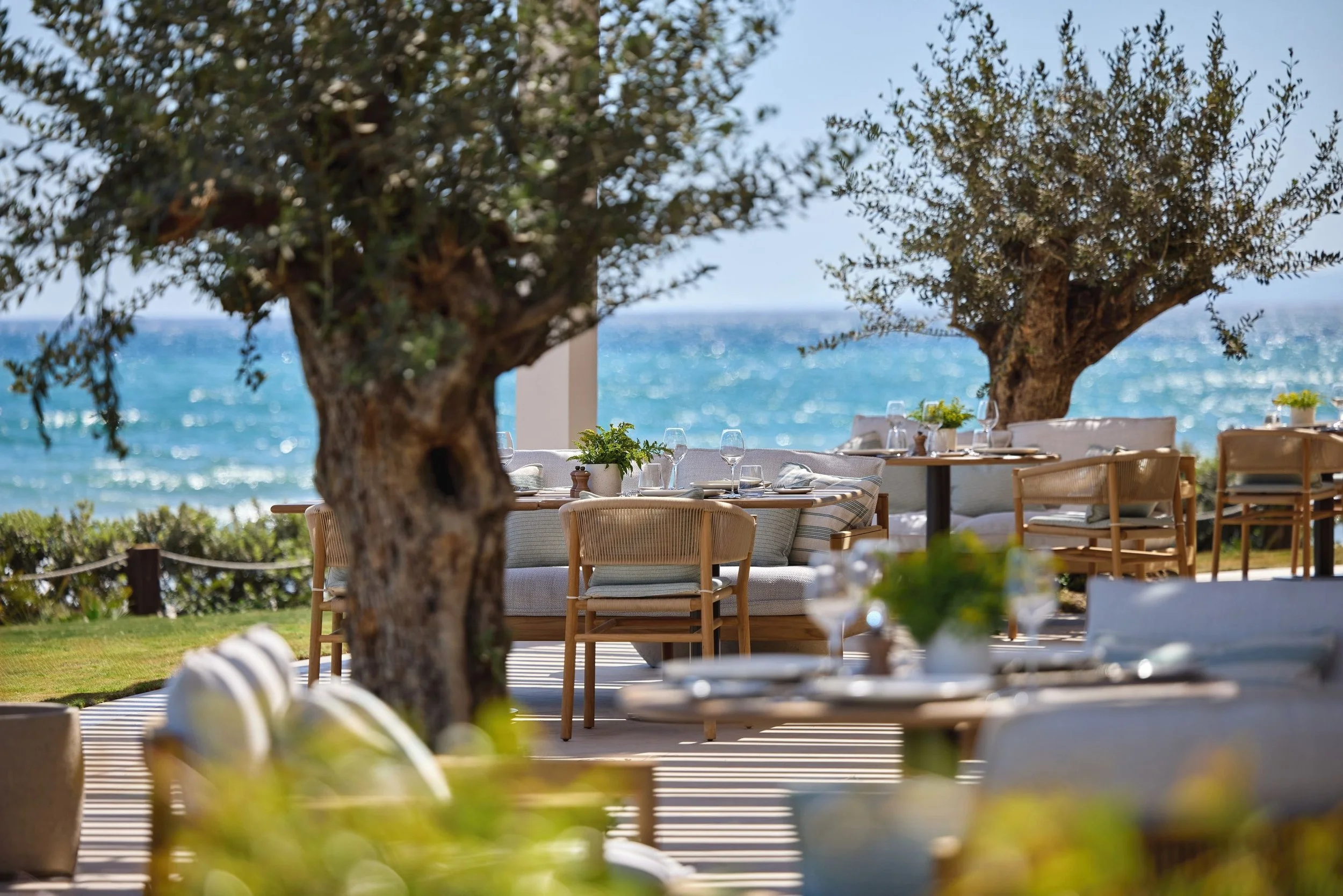 Outdoor dining setup with tables and chairs near the ocean, shaded by trees, with blue water in the background.