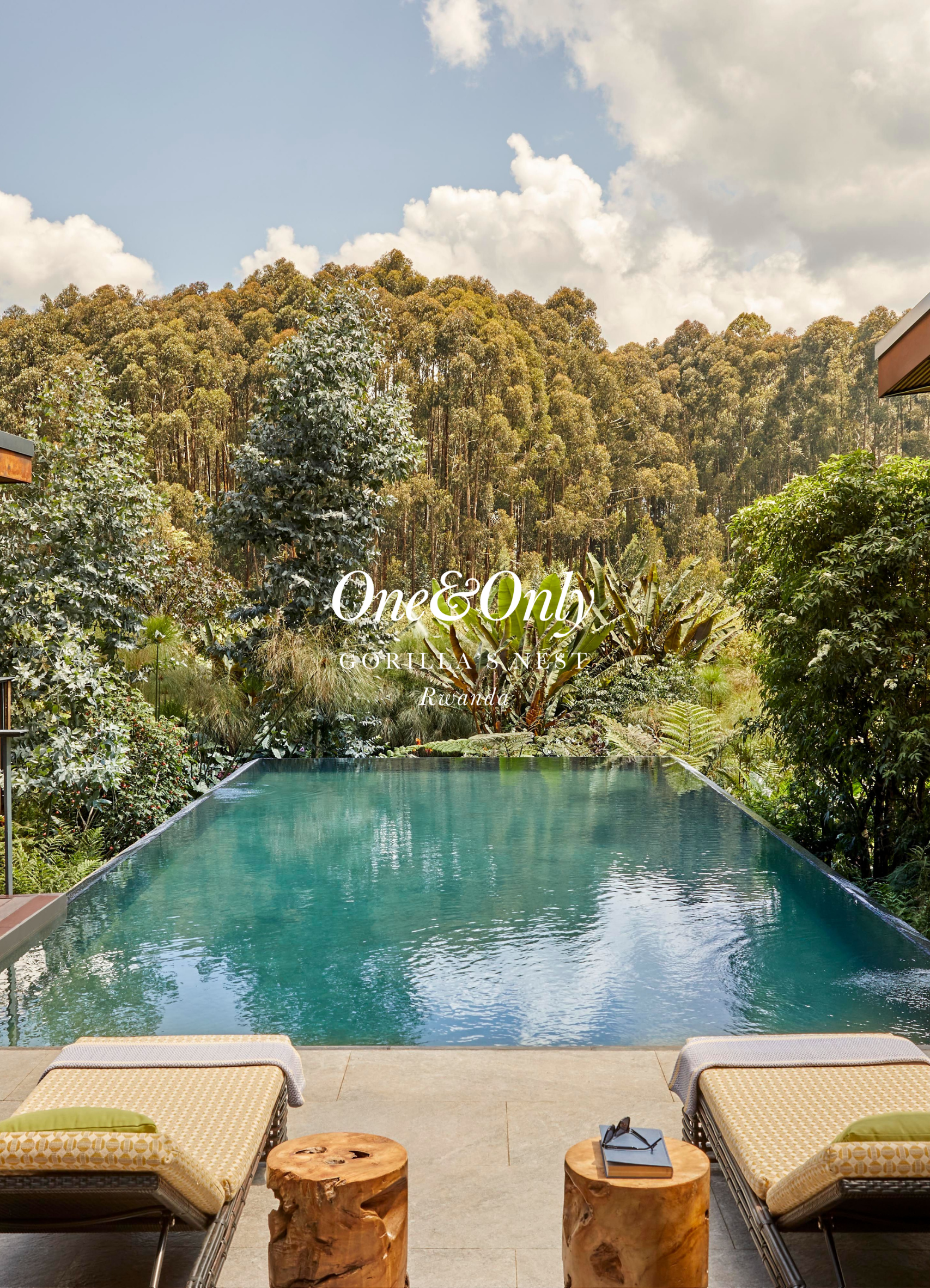 Poolside seating area with two lounge chairs and small wooden stumps, overlooking a swimming pool and lush green trees in a forested landscape, under partly cloudy sky.