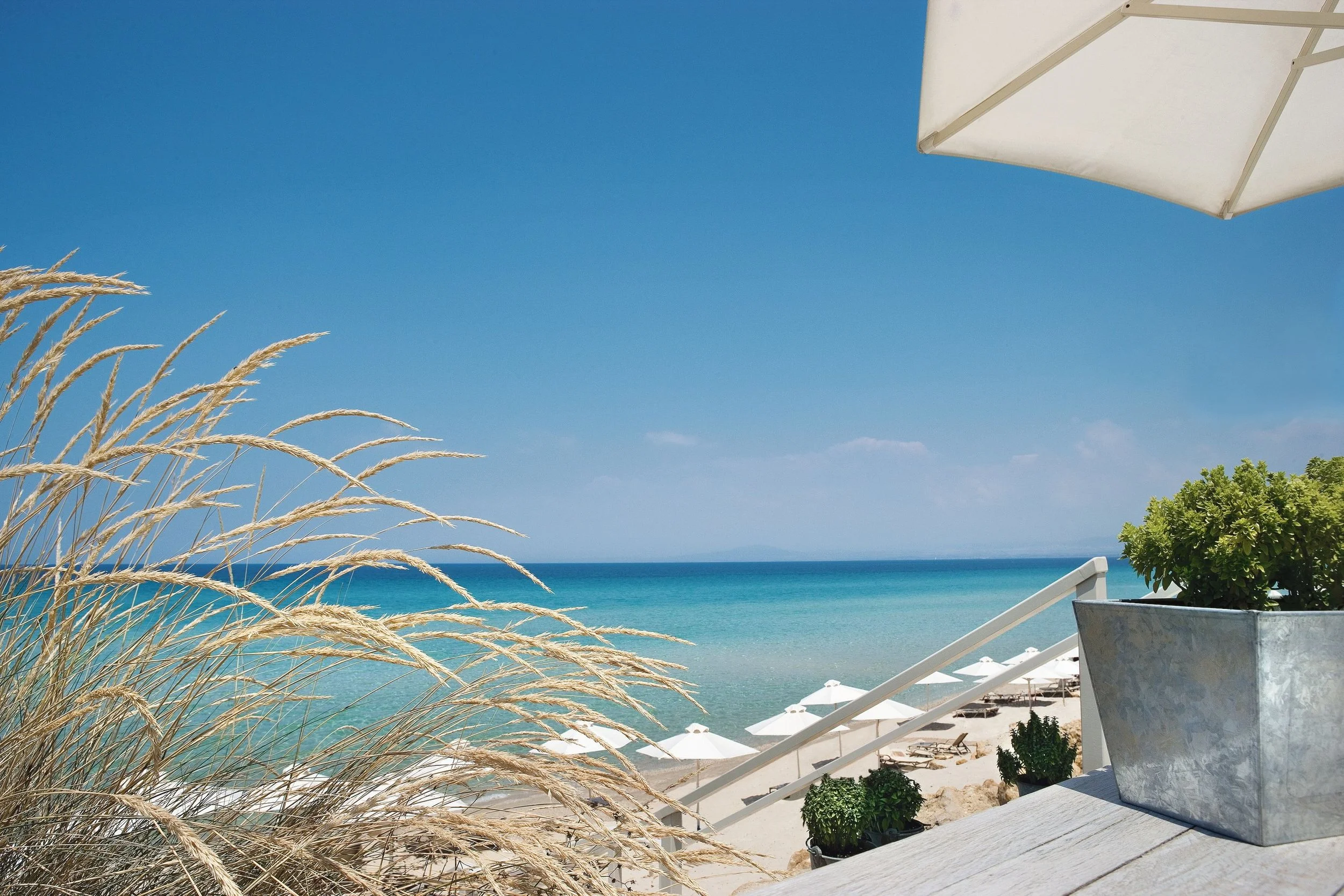 Beach scene with blue sky, ocean, sandy shore, white umbrellas, and lounge chairs. Beach plants and a large white planter with greenery are in the foreground, and a white deck railing is visible.