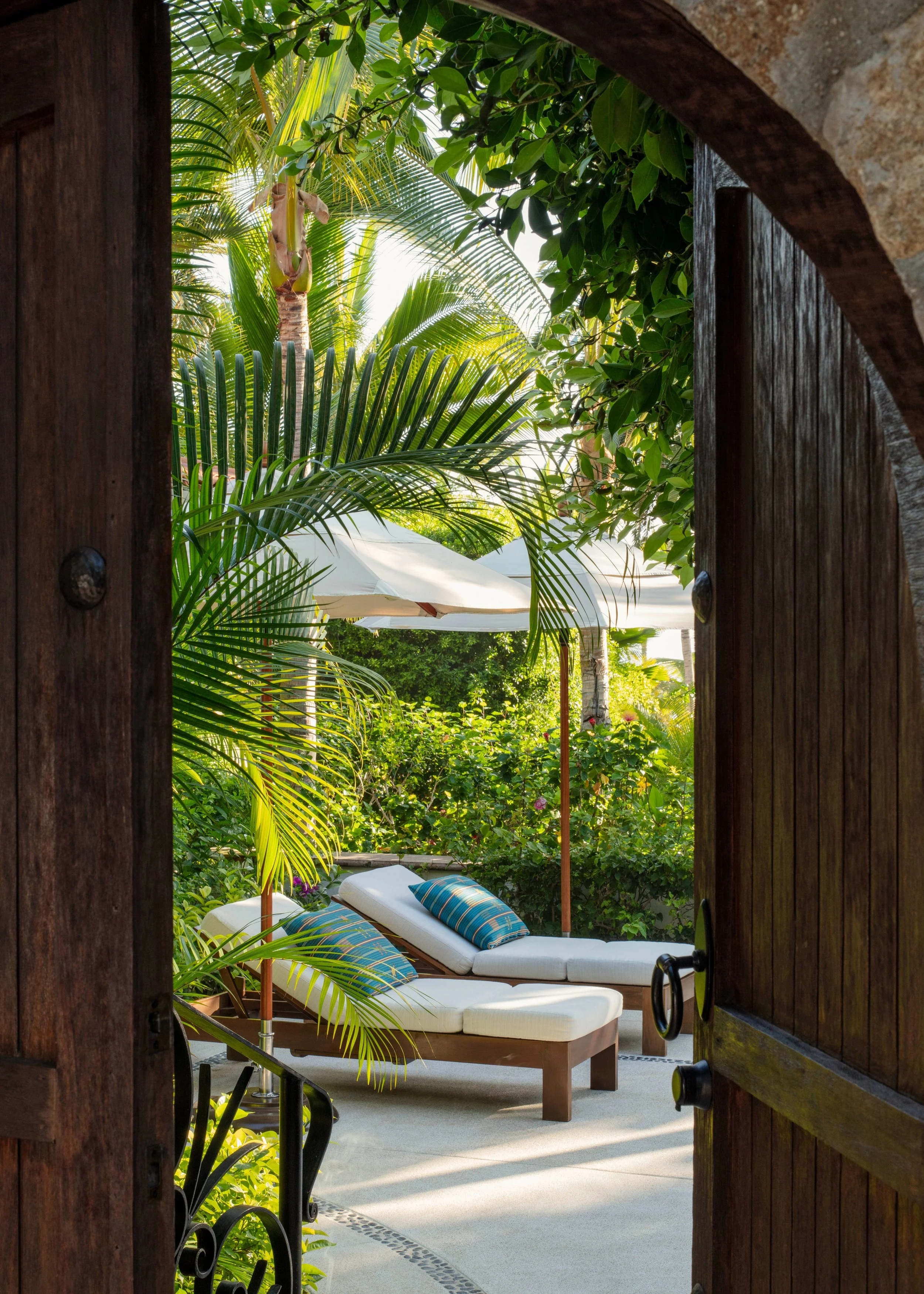 View of a tropical outdoor patio with white lounge chairs with blue striped cushions, surrounded by lush green palm and tropical plants, seen through an open wooden door.