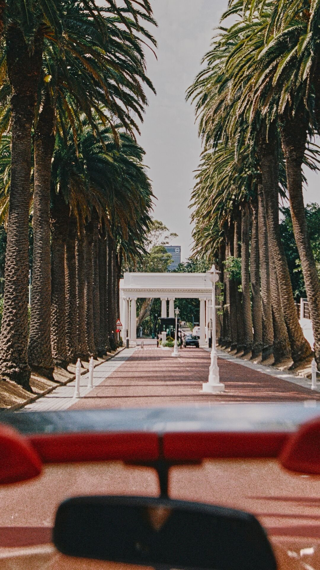 A pathway between tall palm trees with a white entrance structure in the background, seen from inside a car.