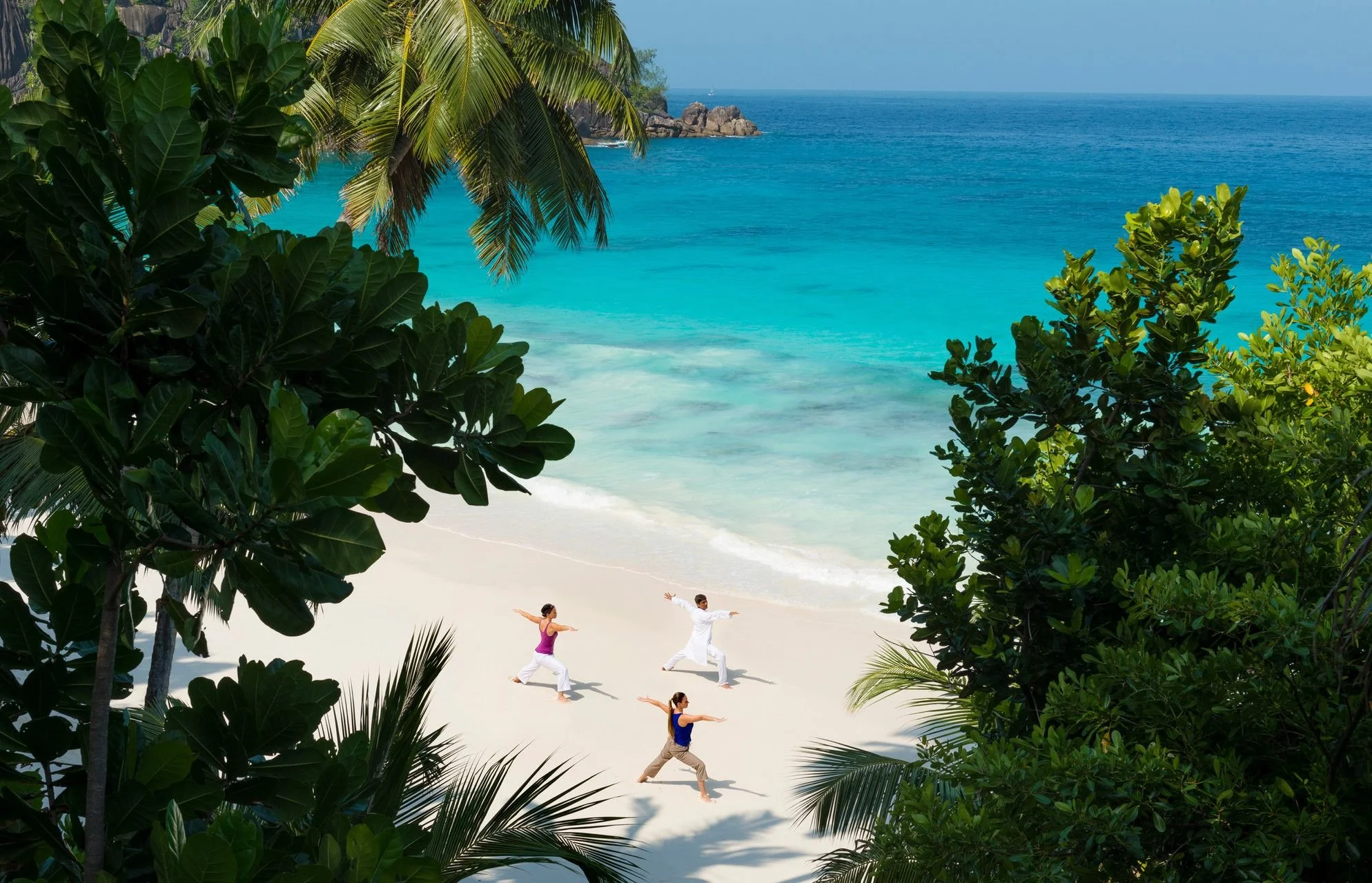People practicing yoga on a sandy beach surrounded by lush green trees, with the ocean and clear blue sky in the background.