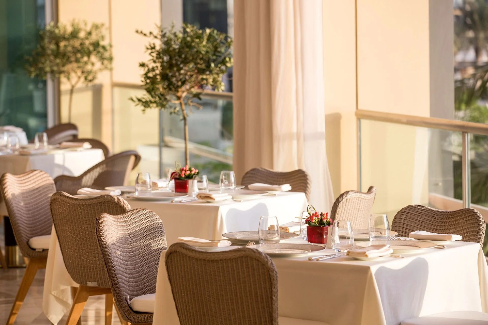 Elegant dining area with round tables covered in white tablecloths, each set with glassware, napkins, and small potted red flower arrangements. Wicker chairs surround the tables, illuminated by natural light streaming through large windows with light-colored curtains. Indoor potted trees add greenery to the space.