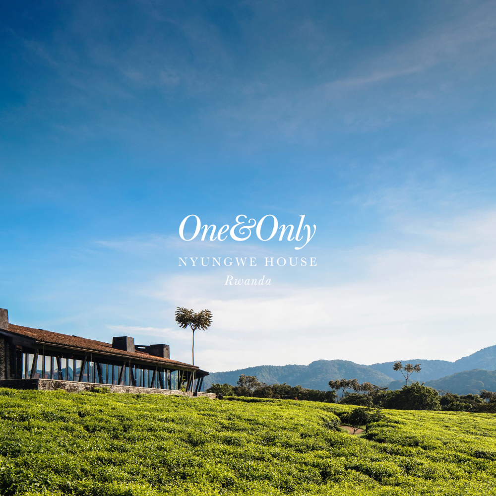 A scenic view of a modern building with large glass windows on a lush green landscape with mountains in the background, under a blue sky with some clouds.