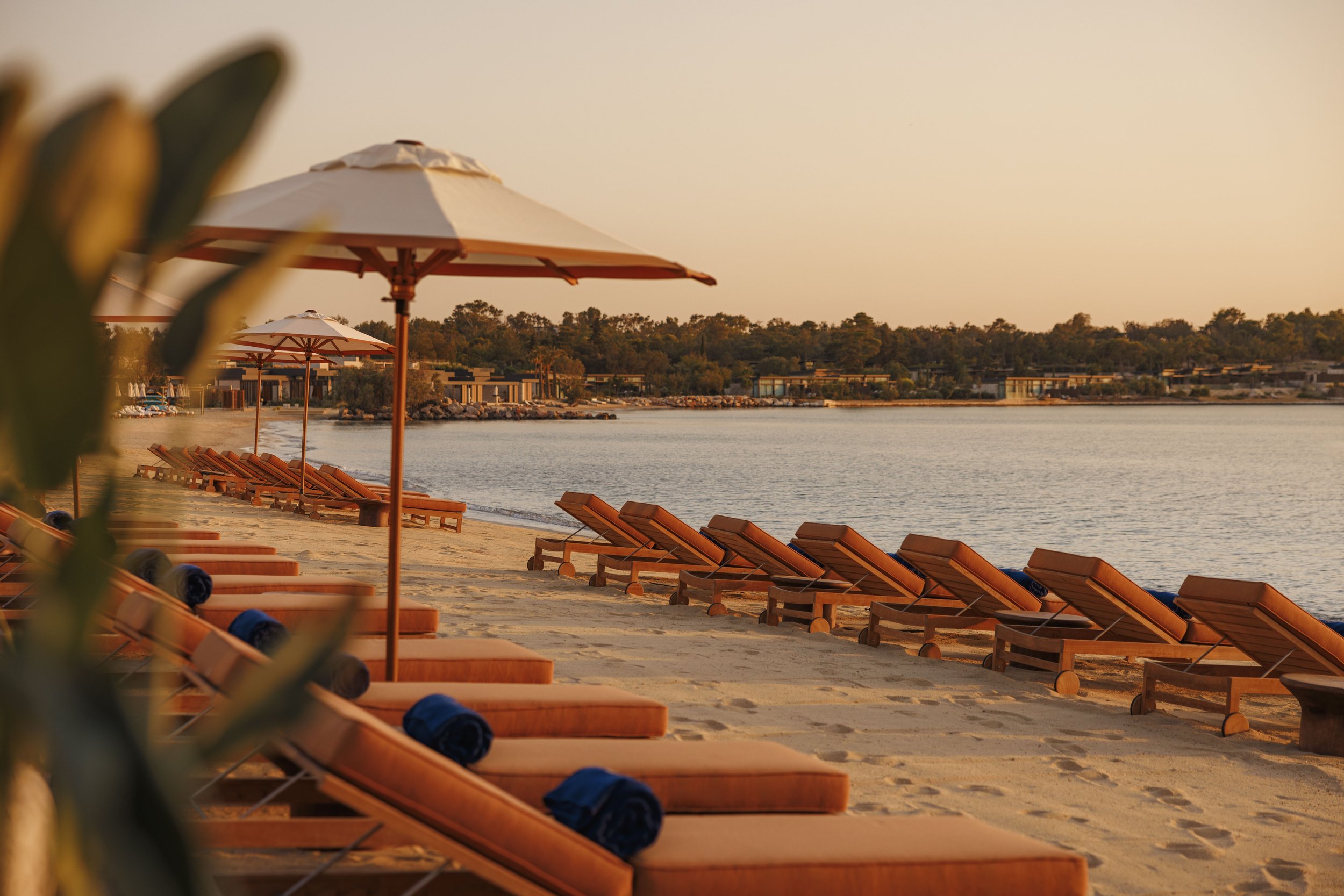 Empty wooden lounge chairs with rolled towels under large beige umbrellas on a sandy beach with calm water and trees in the background during sunset.