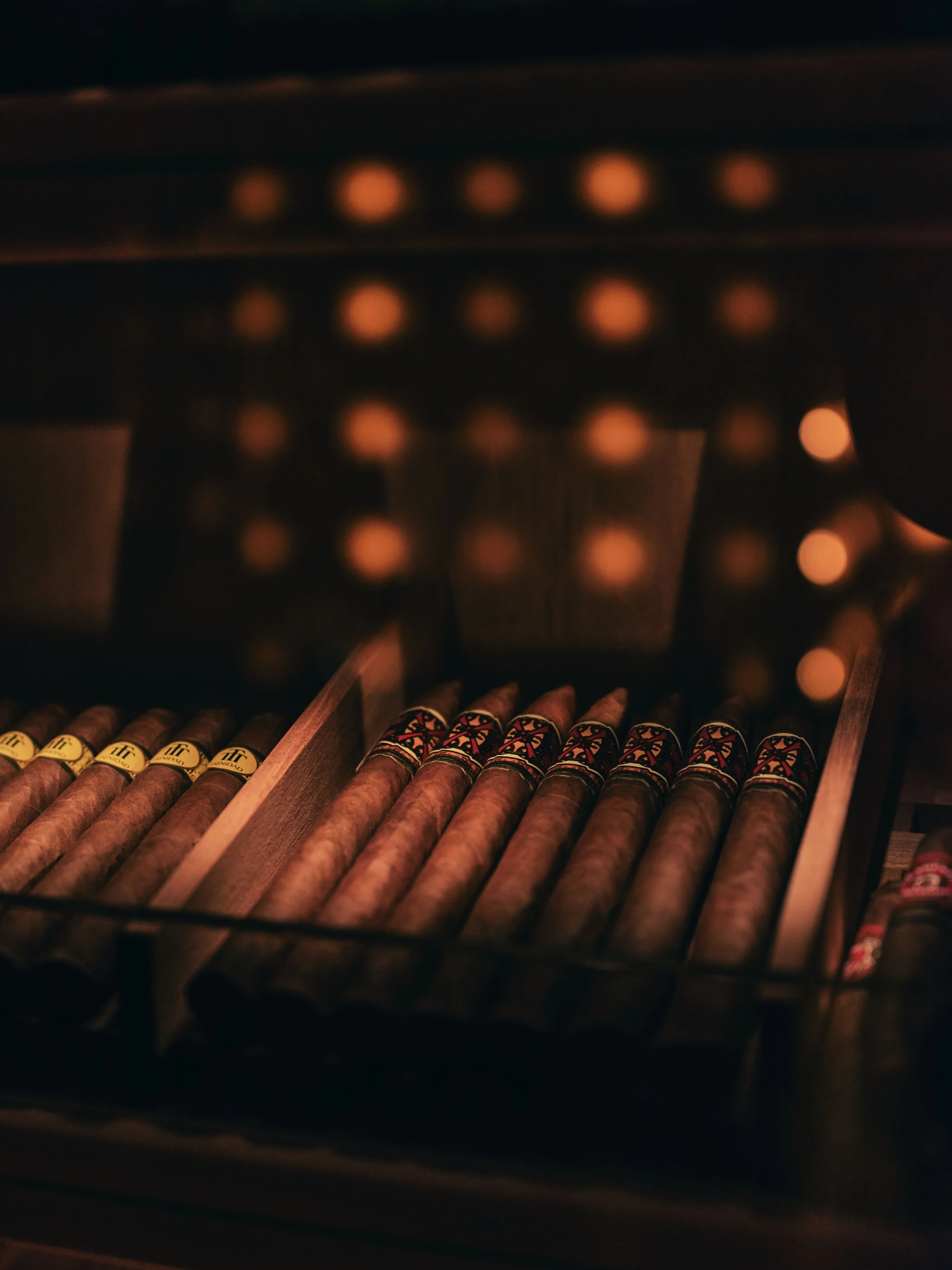 Inside a humidor with rows of cigars resting on wooden shelves.
