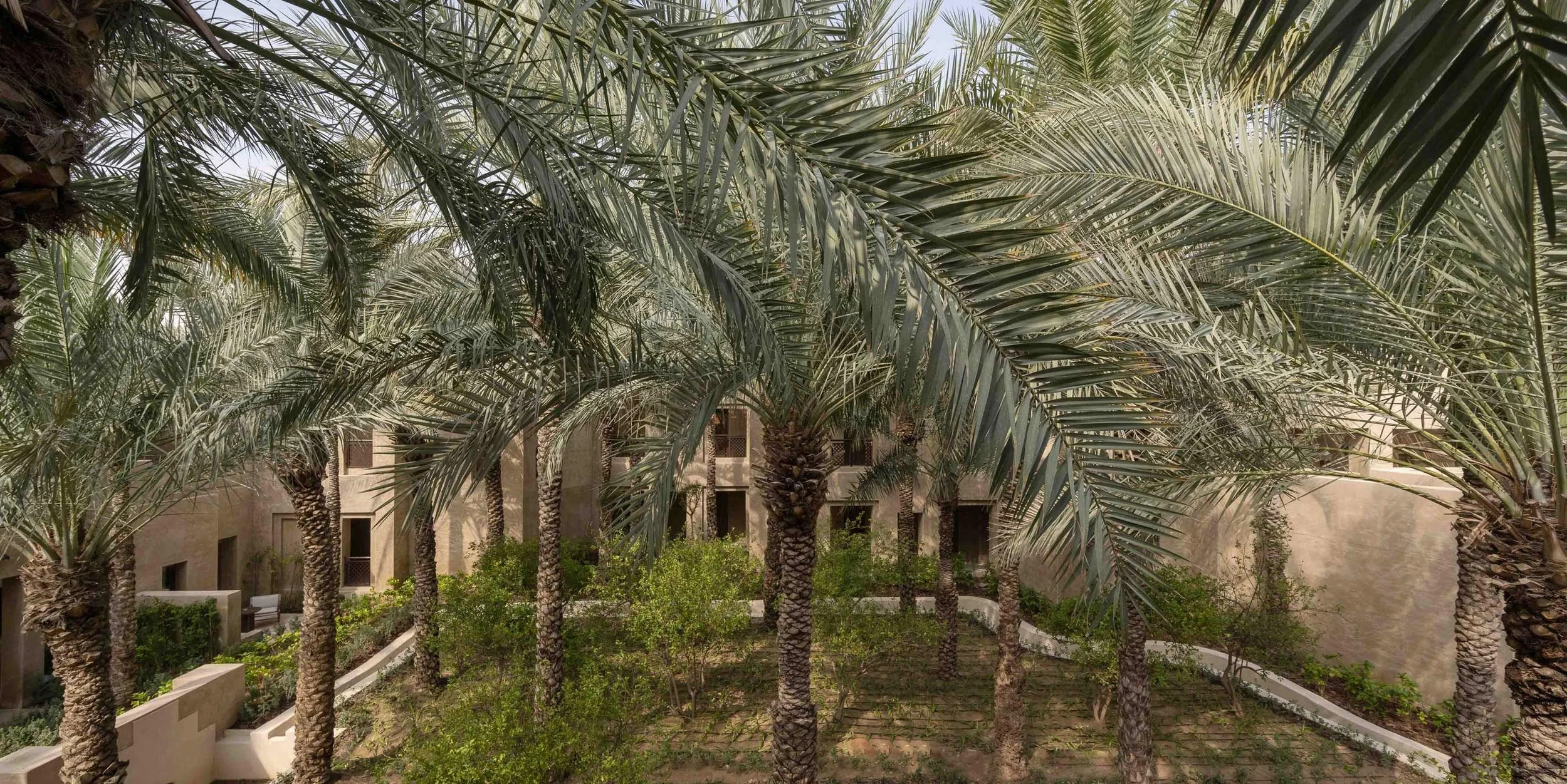 A courtyard filled with tall palm trees and lush greenery, surrounded by beige building walls with multiple windows.