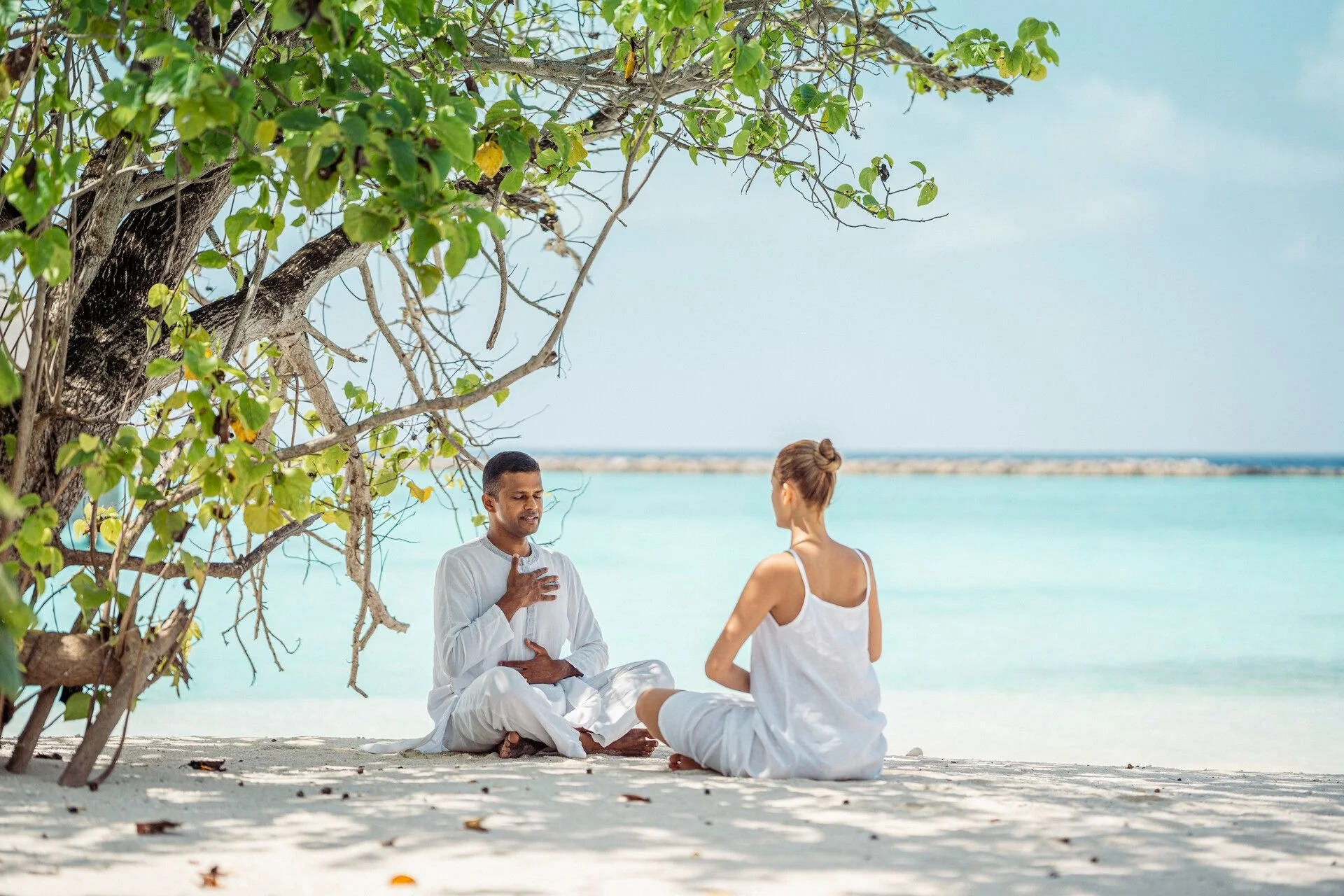 Two people practicing meditation on a beach under a tree, with the ocean in the background.