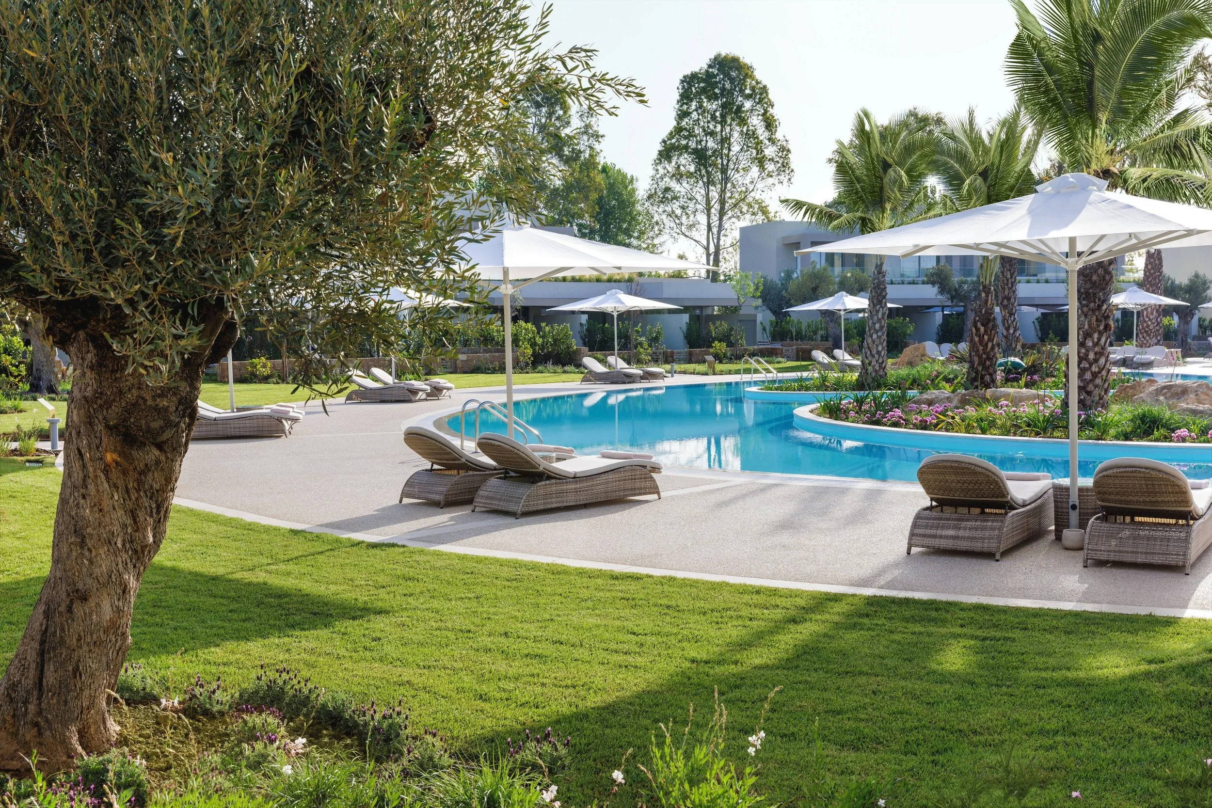 View of a swimming pool surrounded by white umbrellas, lounge chairs, and lush greenery including palm trees and flowering plants.