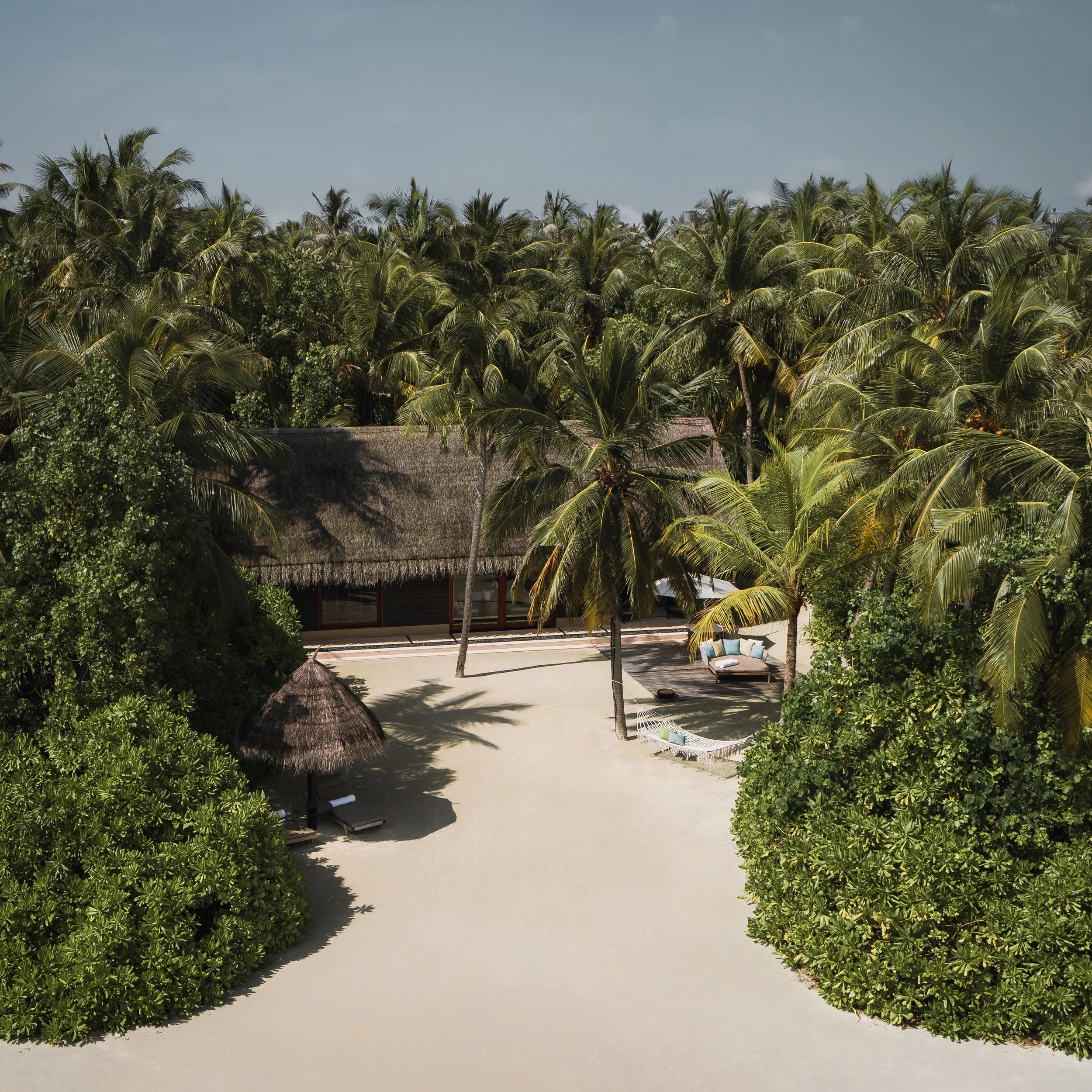 A tropical scene with tall palm trees and lush greenery surrounding a sandy beach area with a thatched-roof hut and lounge seating.