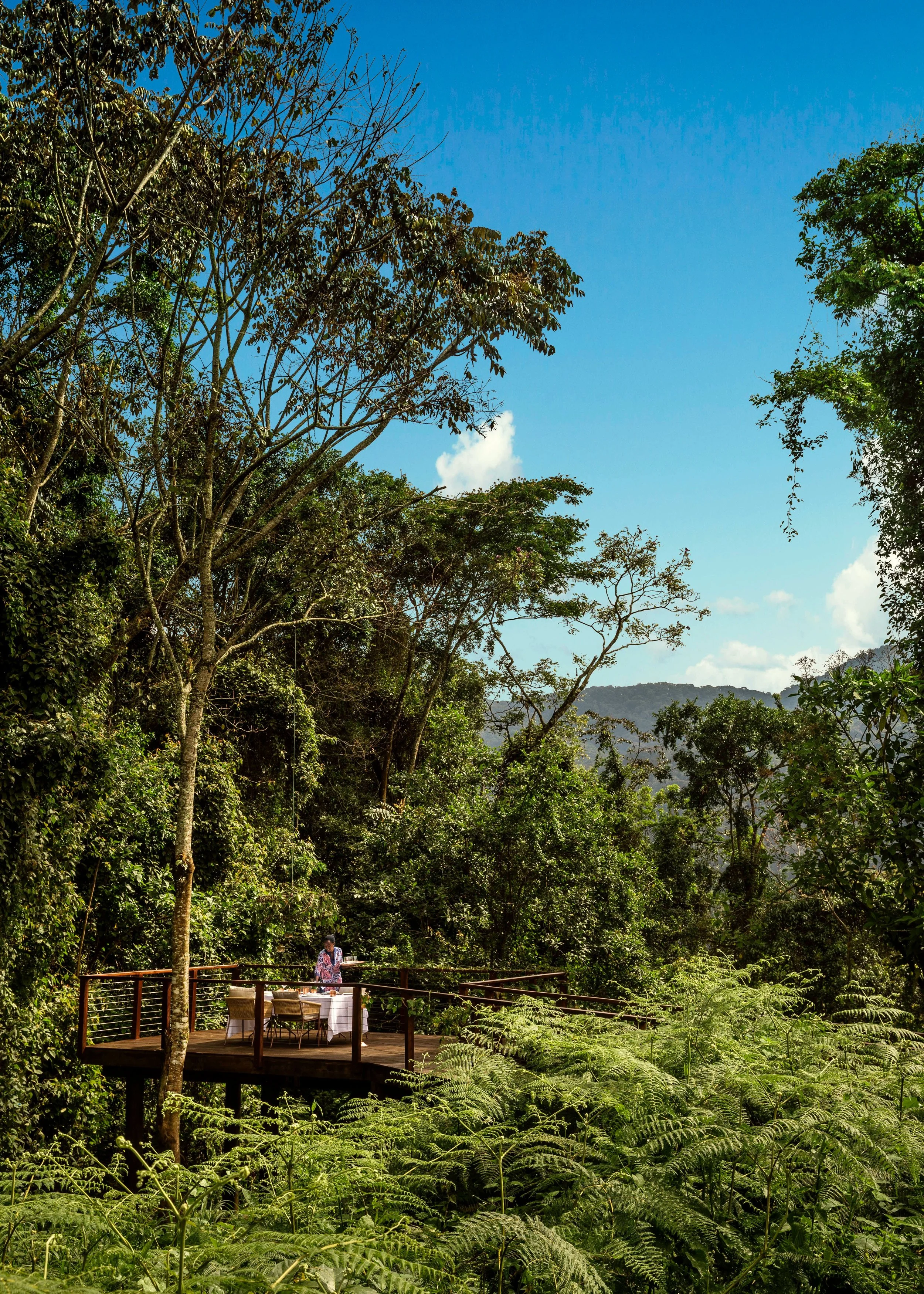 A person dressed in a floral shirt standing on a wooden deck with tables and chairs, surrounded by dense green tropical forest under a clear blue sky.