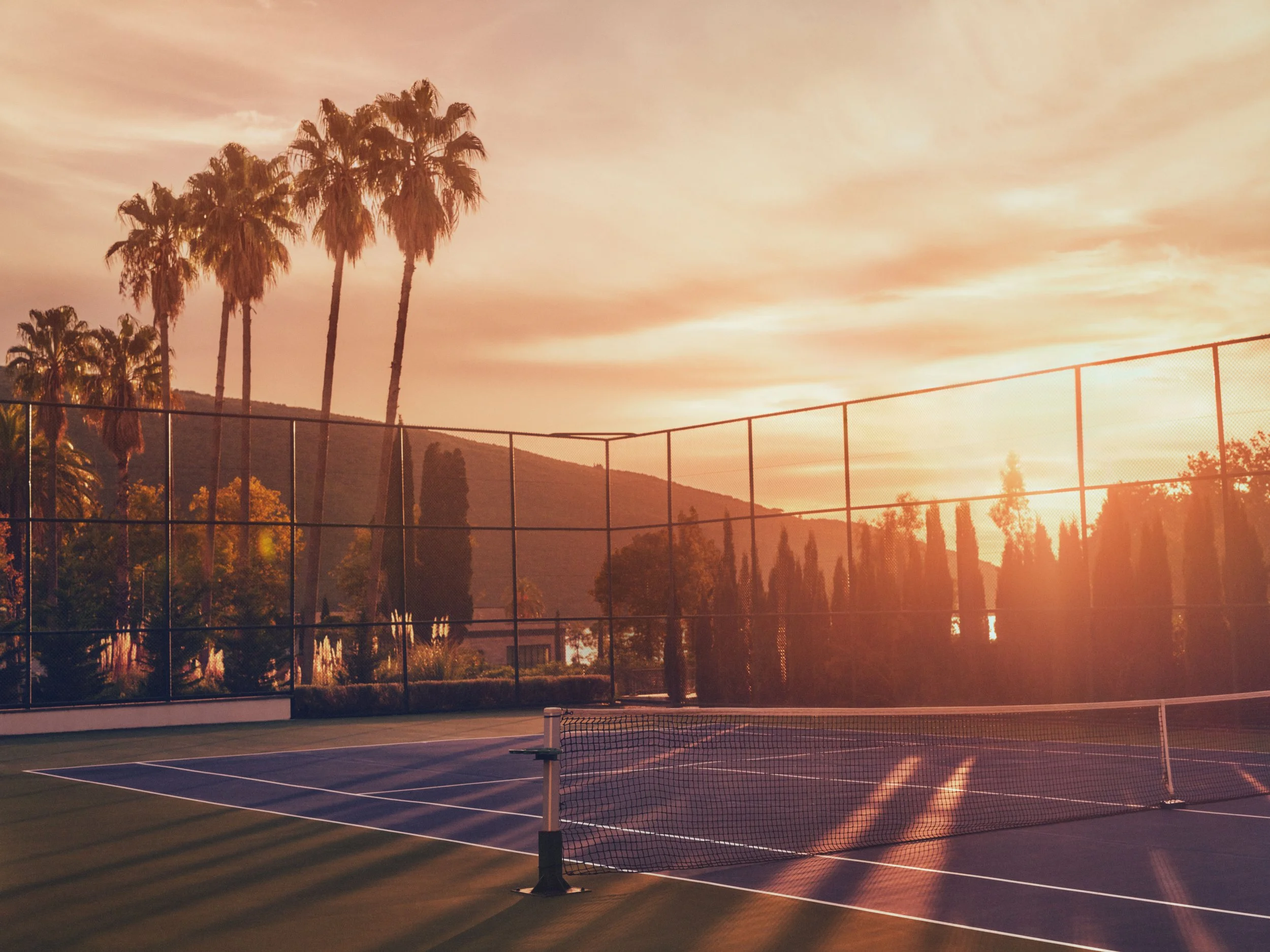 A sunset behind palm trees over a tennis court with a fence, shadows cast across the court.