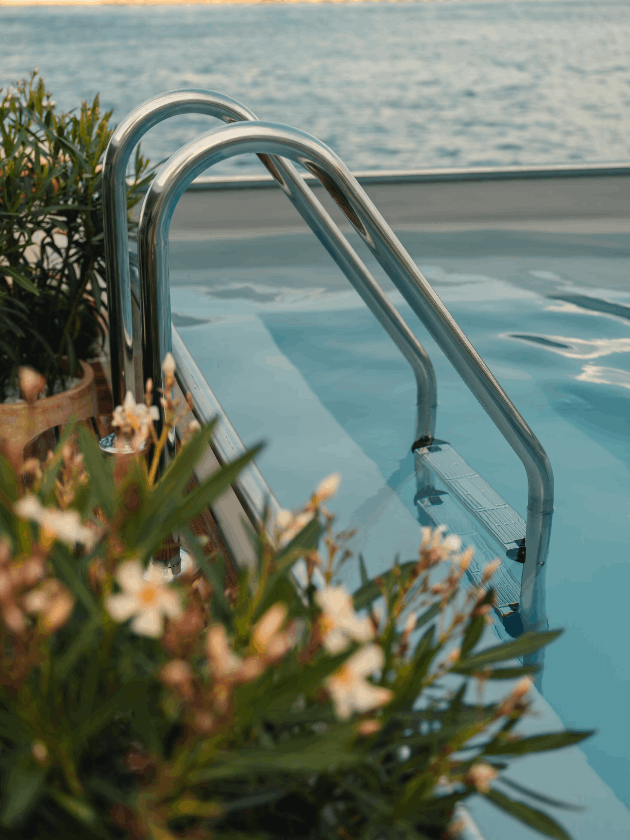Close-up of metal pool ladder with a body of water in the background, partially obscured by green foliage with small white flowers.