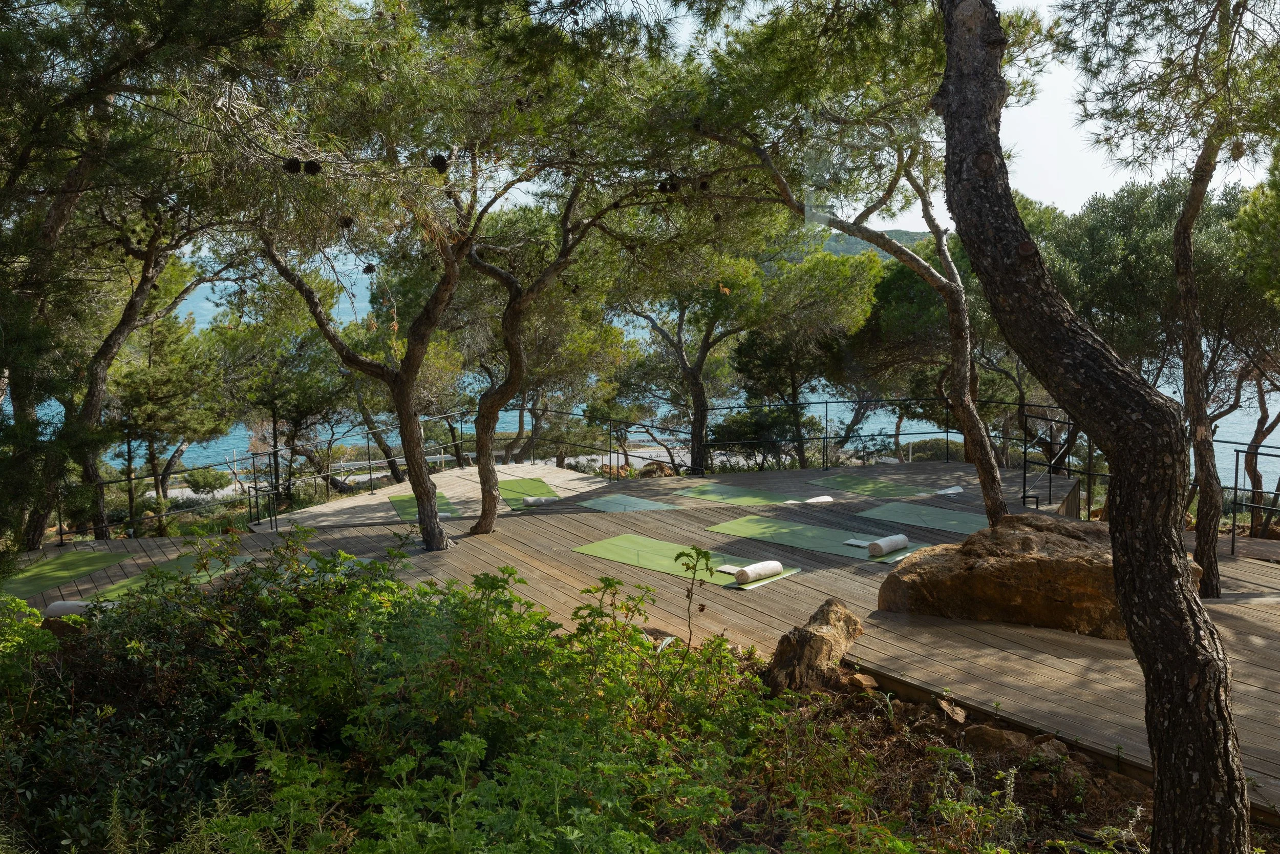 A serene outdoor yoga deck nestled among tall trees overlooking water, with yoga mats and rolled towels laid out on a wooden platform.