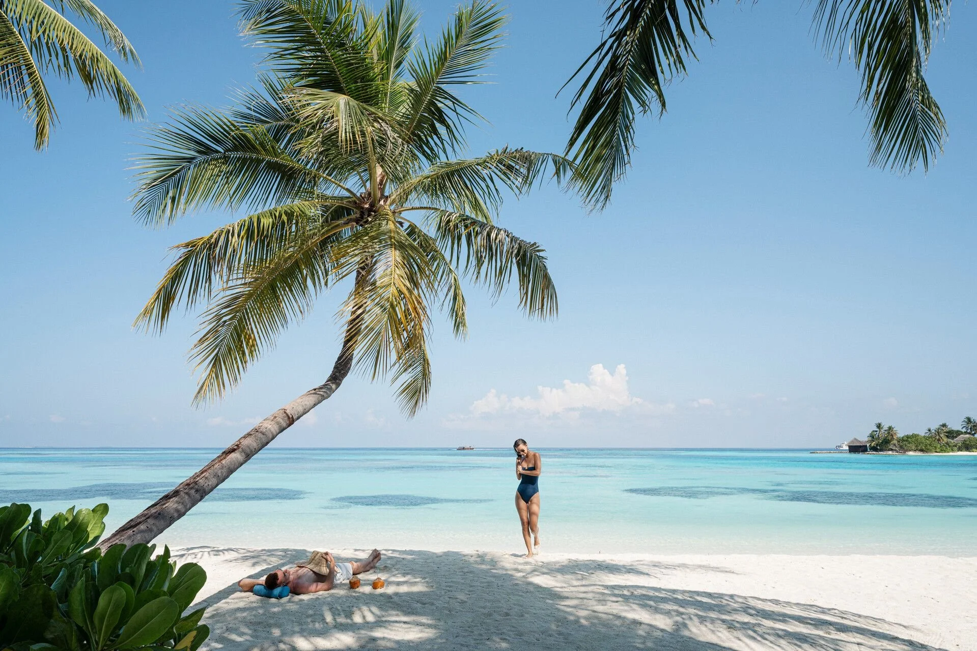 A tropical beach scene with a large leaning palm tree over clear blue water. A woman in a dark swimsuit stands in the sand, looking down. An older man lies on a towel under the palm, relaxing with his eyes closed.