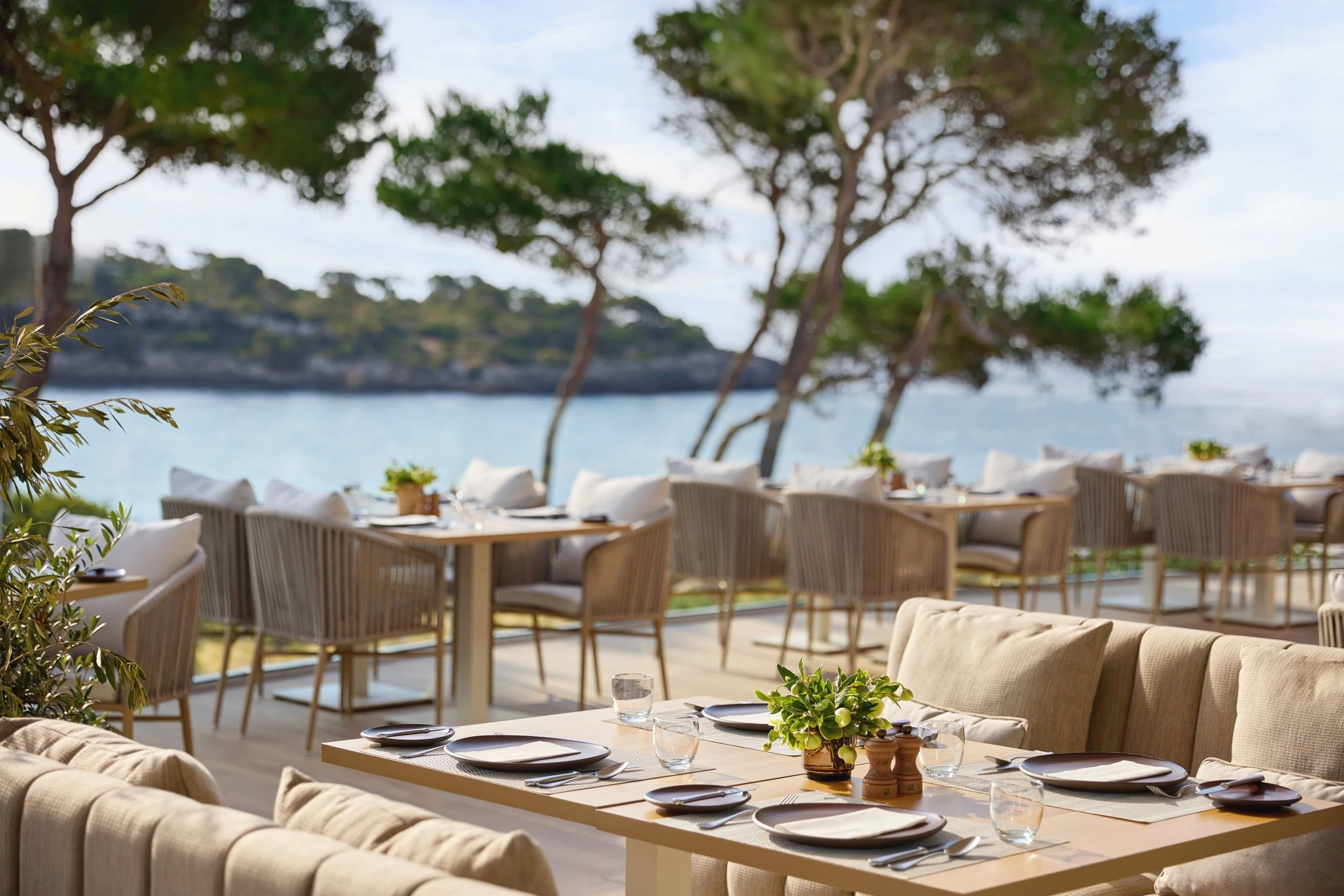 Outdoor restaurant patio with tables set with plates, glasses, and small plants, overlooking the ocean with trees in the background.