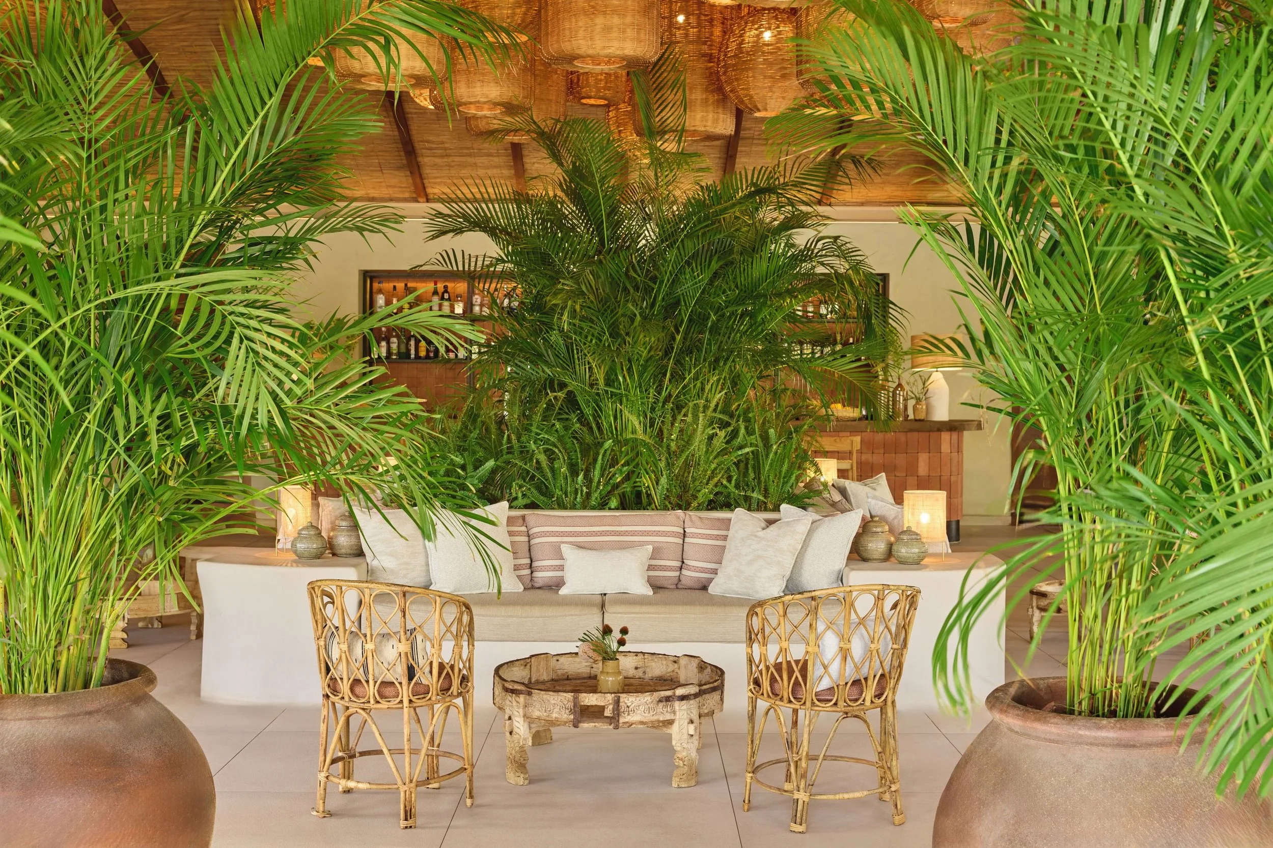 Indoor lounge area with large potted tropical plants flanking a cream-colored sofa with striped cushions and pillows. Behind the sofa, a bar with bottles and glasses can be seen, and the ceiling is decorated with woven hanging lights, creating a warm, tropical ambiance.