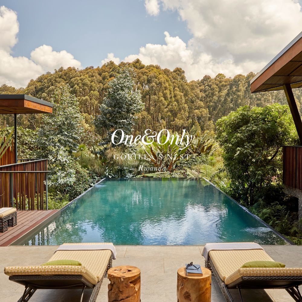 Luxury infinity pool with wooden deck chairs and cut logs as tables, surrounded by lush green trees and hills under a partly cloudy sky.