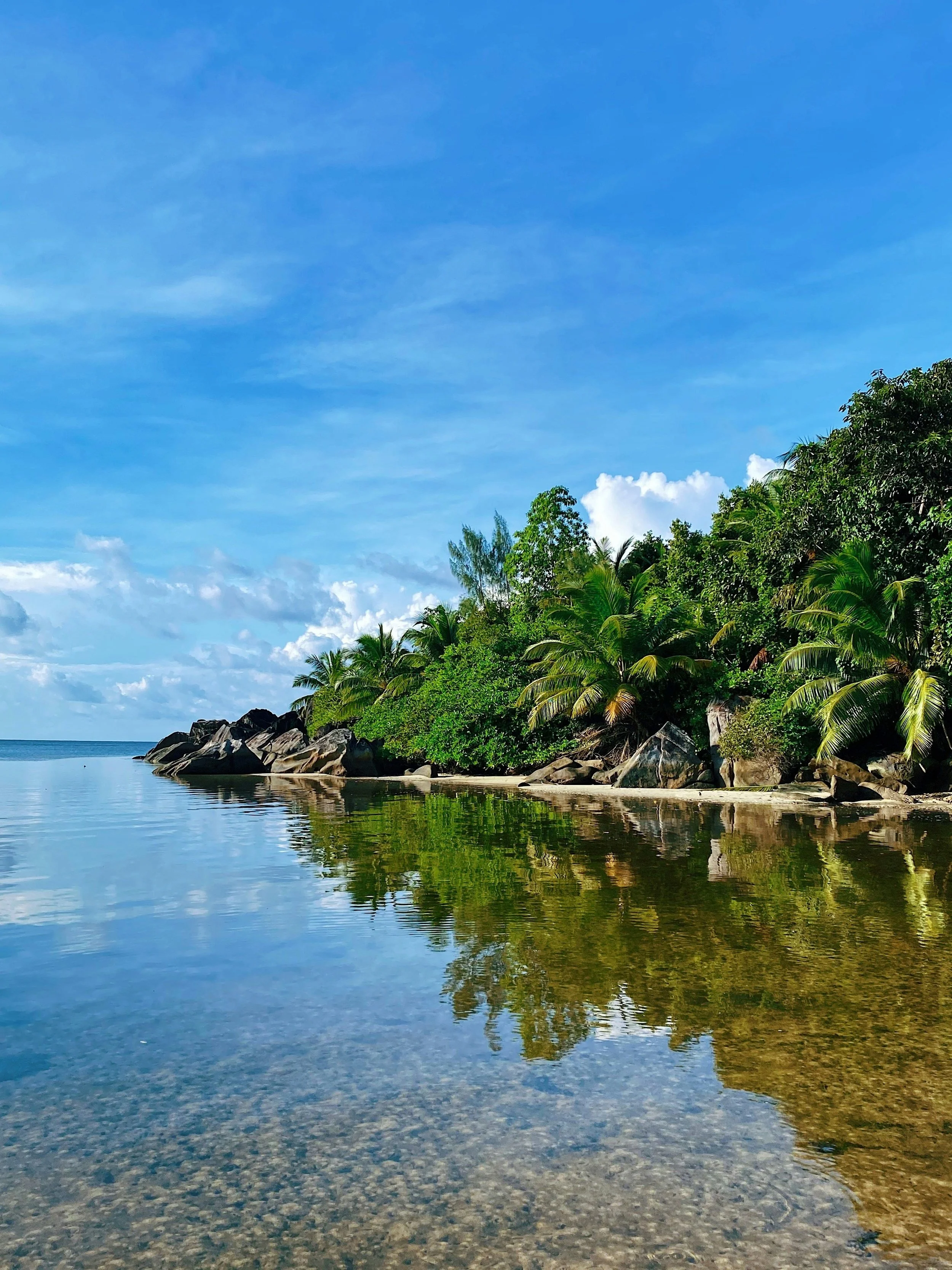 A tranquil tropical beach scene with a clear calm body of water reflecting green palm trees and other lush tropical vegetation along a rocky shoreline under a bright blue sky with wispy clouds.