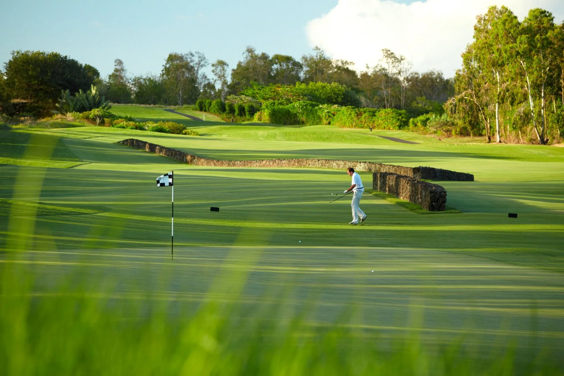 A golfer in a white and blue striped shirt and light pants preparing to hit a golf ball on a well-maintained green, with a black and white checkered flag and a golf tee nearby, surrounded by lush trees and landscaping.