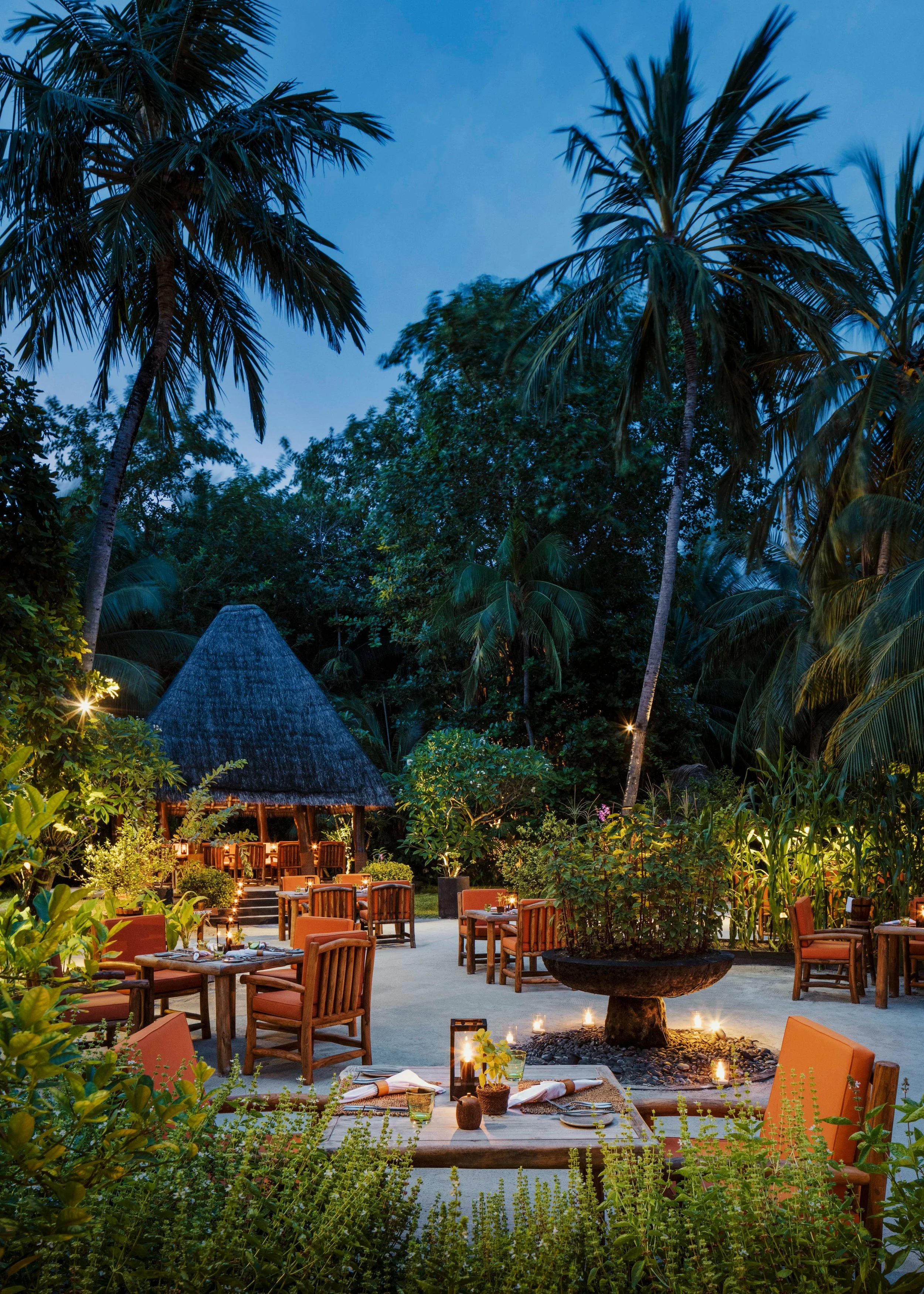 An outdoor restaurant with wooden tables and chairs, surrounded by lush greenery and tall palm trees at dusk, illuminated by small candles and ambient lighting.
