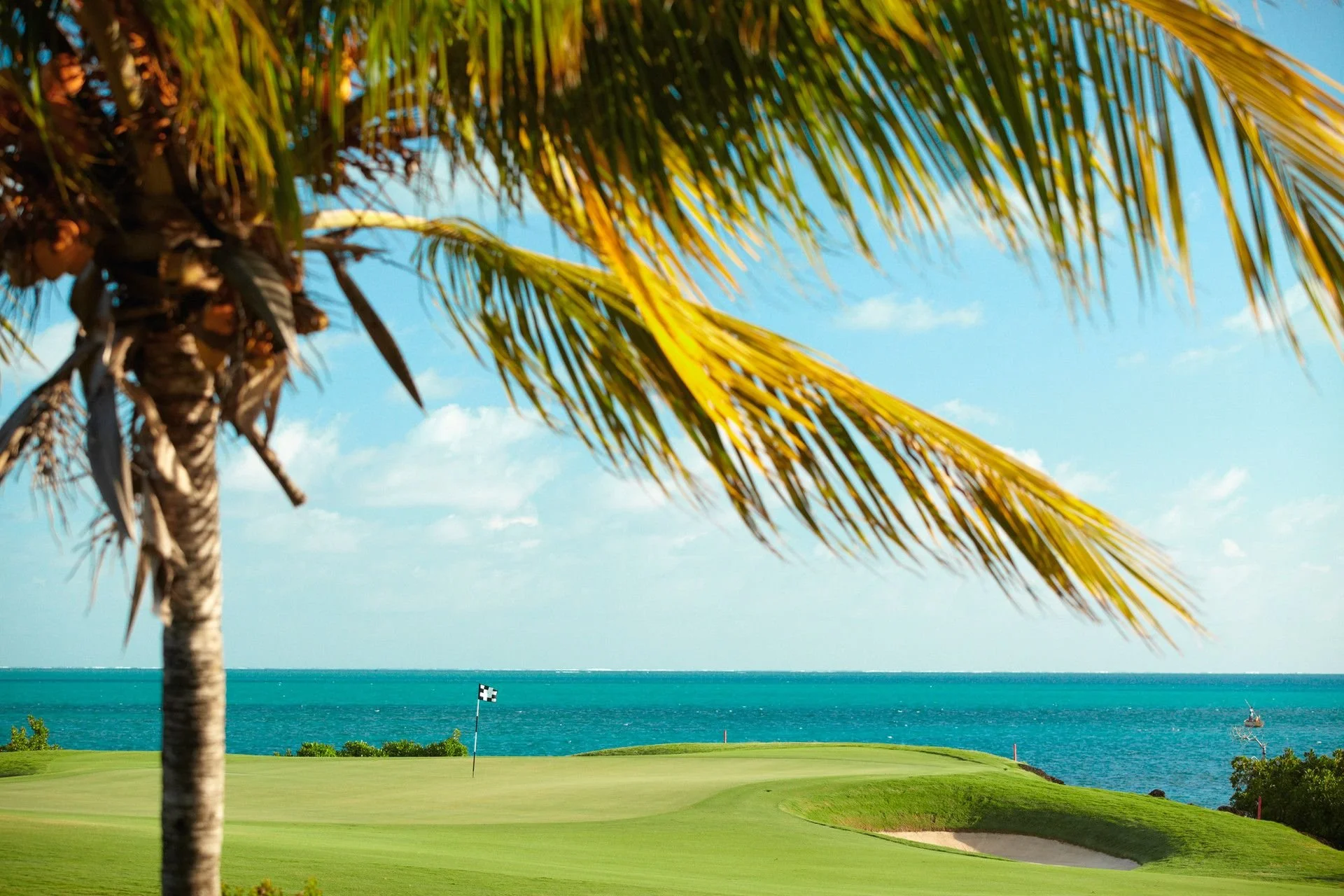 A tropical golf course near the ocean, with a palm tree in the foreground and a flag marking a hole on the green, under a bright blue sky with a few clouds.
