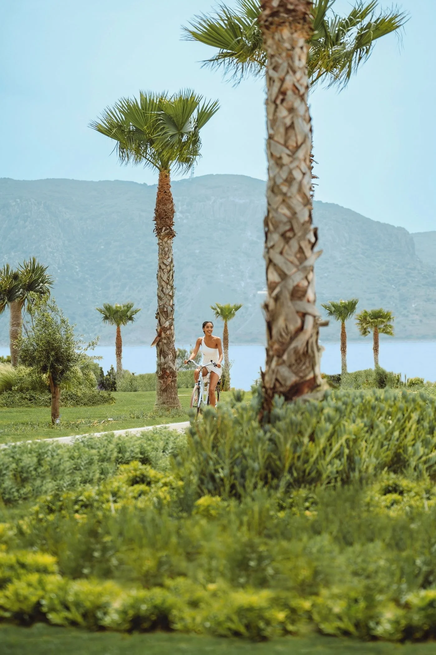 A woman riding a bicycle along a path surrounded by palm trees, with a lake and mountains in the background on a sunny day.