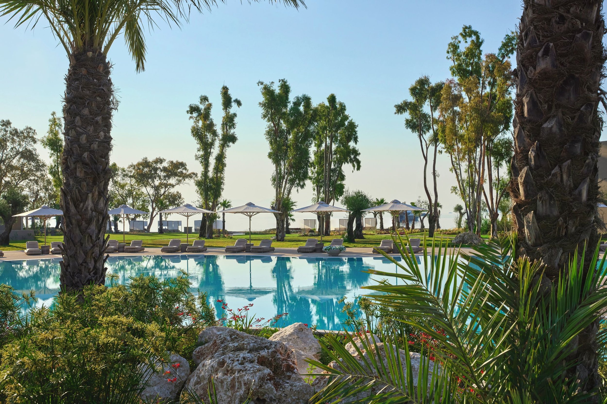 A resort swimming pool surrounded by lounge chairs and umbrellas, with palm trees and tropical plants in the foreground and background, under a clear blue sky.