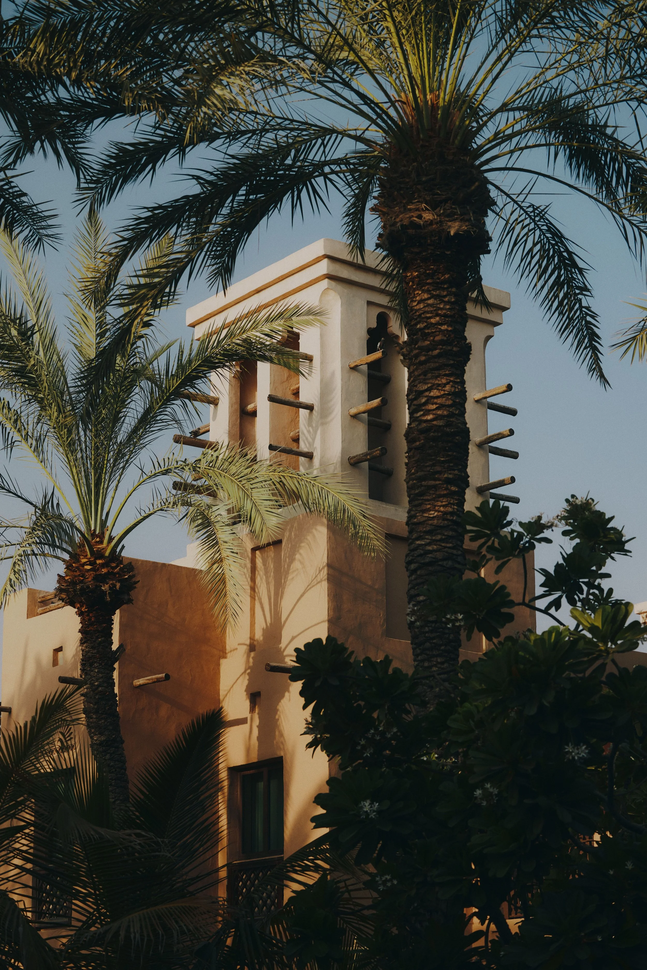 A tall palm tree in foreground with a white building and scaffolding against a dusk sky in background.