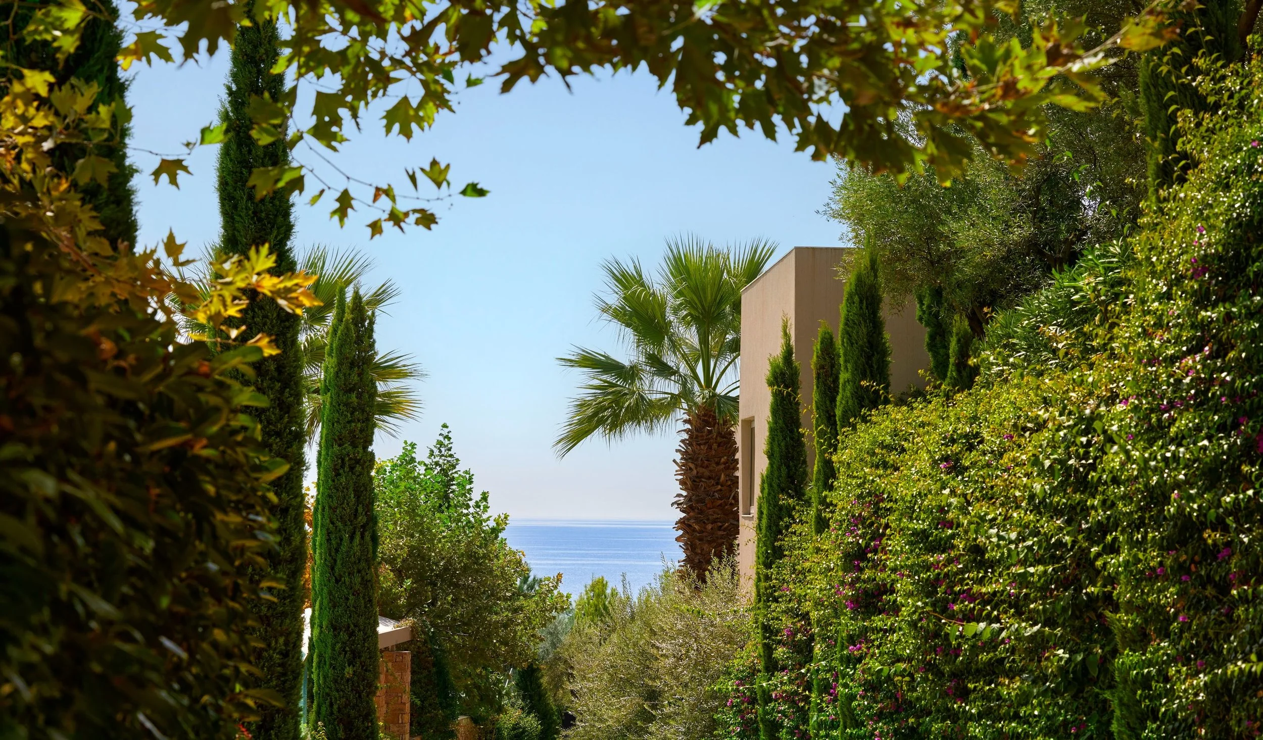 A narrow landscaped pathway bordered by lush green bushes and tall, slender trees, leading to a view of the ocean in the distance under a clear blue sky.