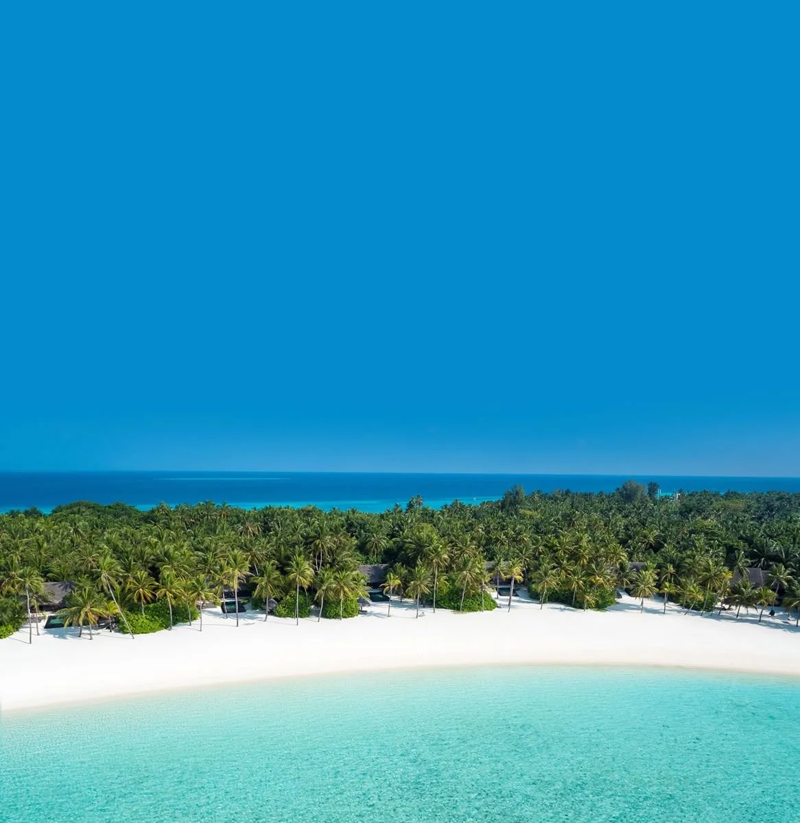 A tropical beach with white sand, turquoise water, a dense cover of palm trees, and a clear blue sky.